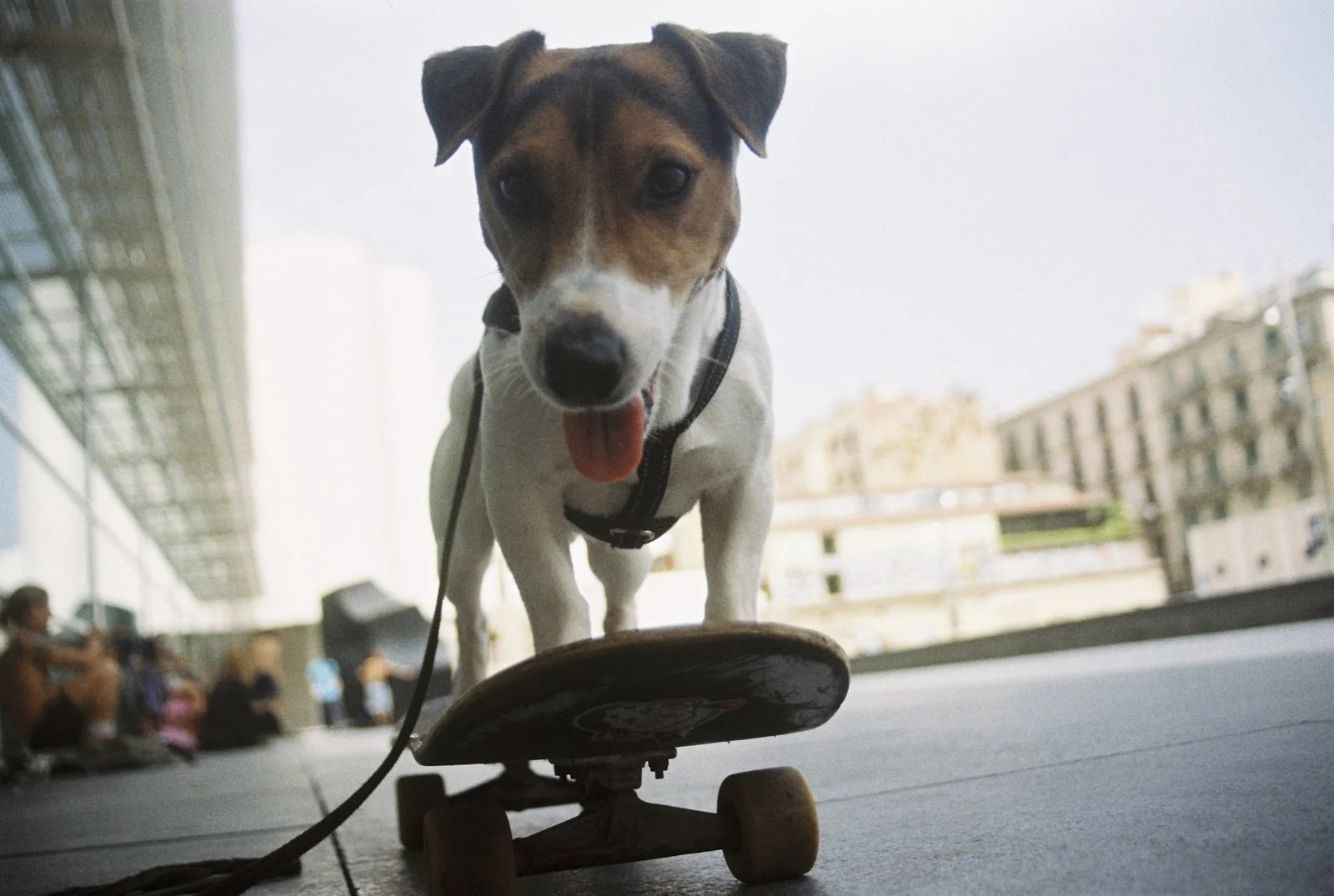 22-06-29_MACBA_33.jpg