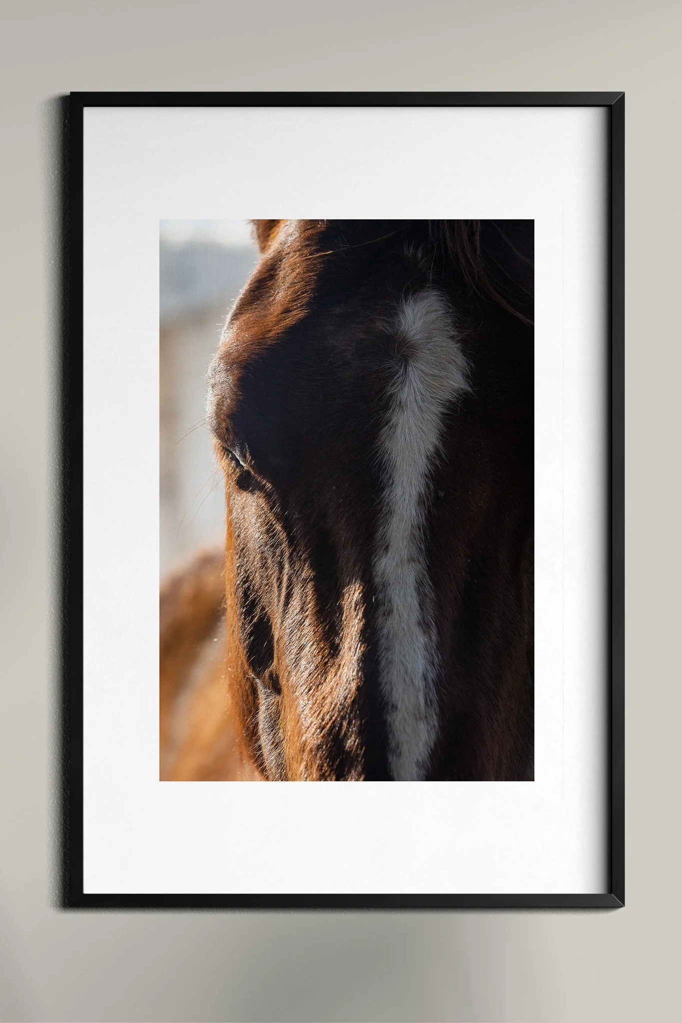 Poster Frame In Room Mockup17.jpg