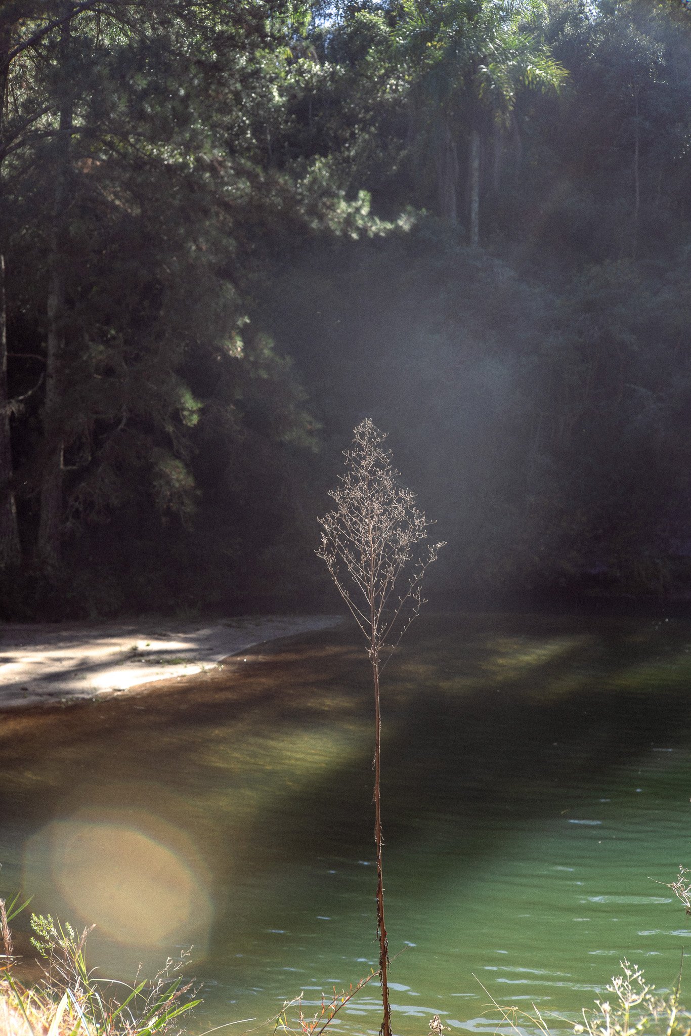 0035haras.jpg