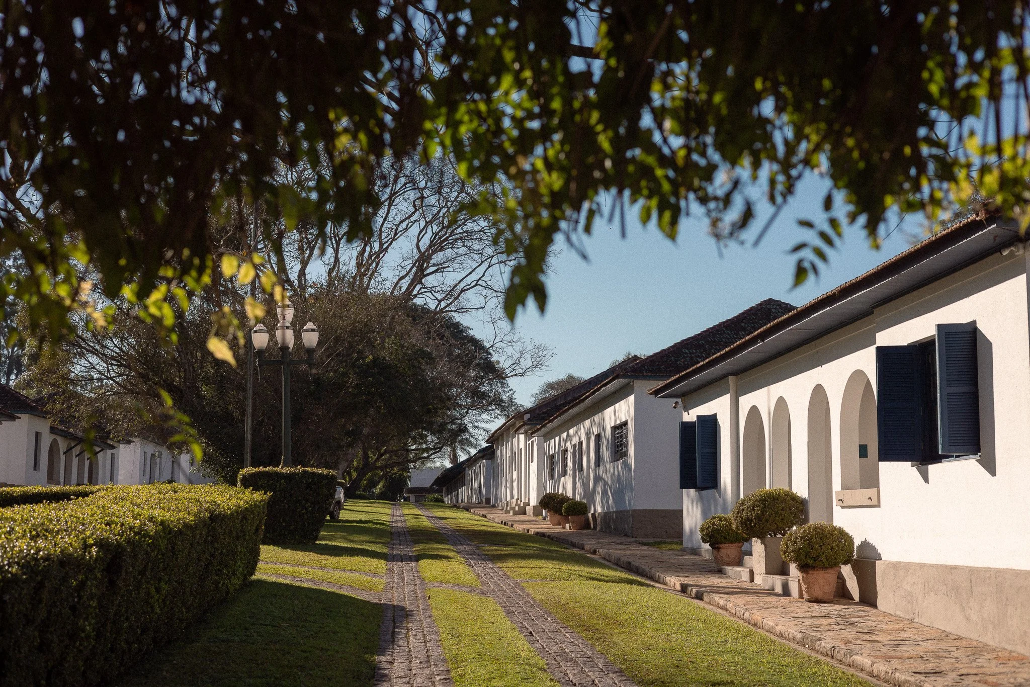 0040haras.jpg