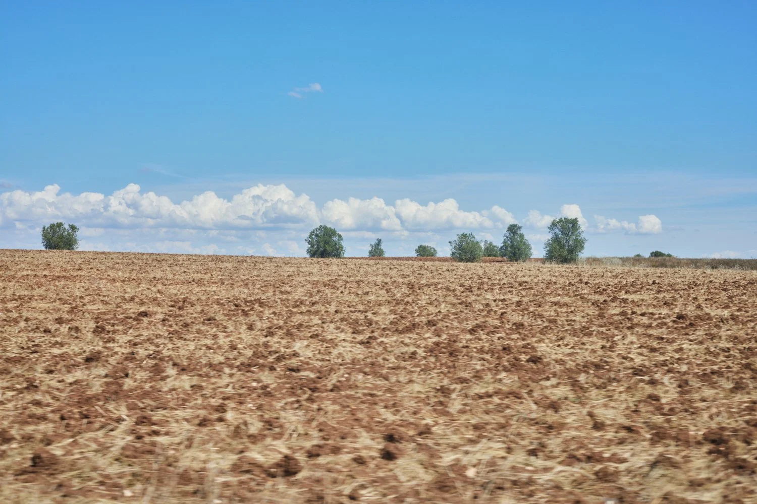 Estrada20220917_0018.jpg