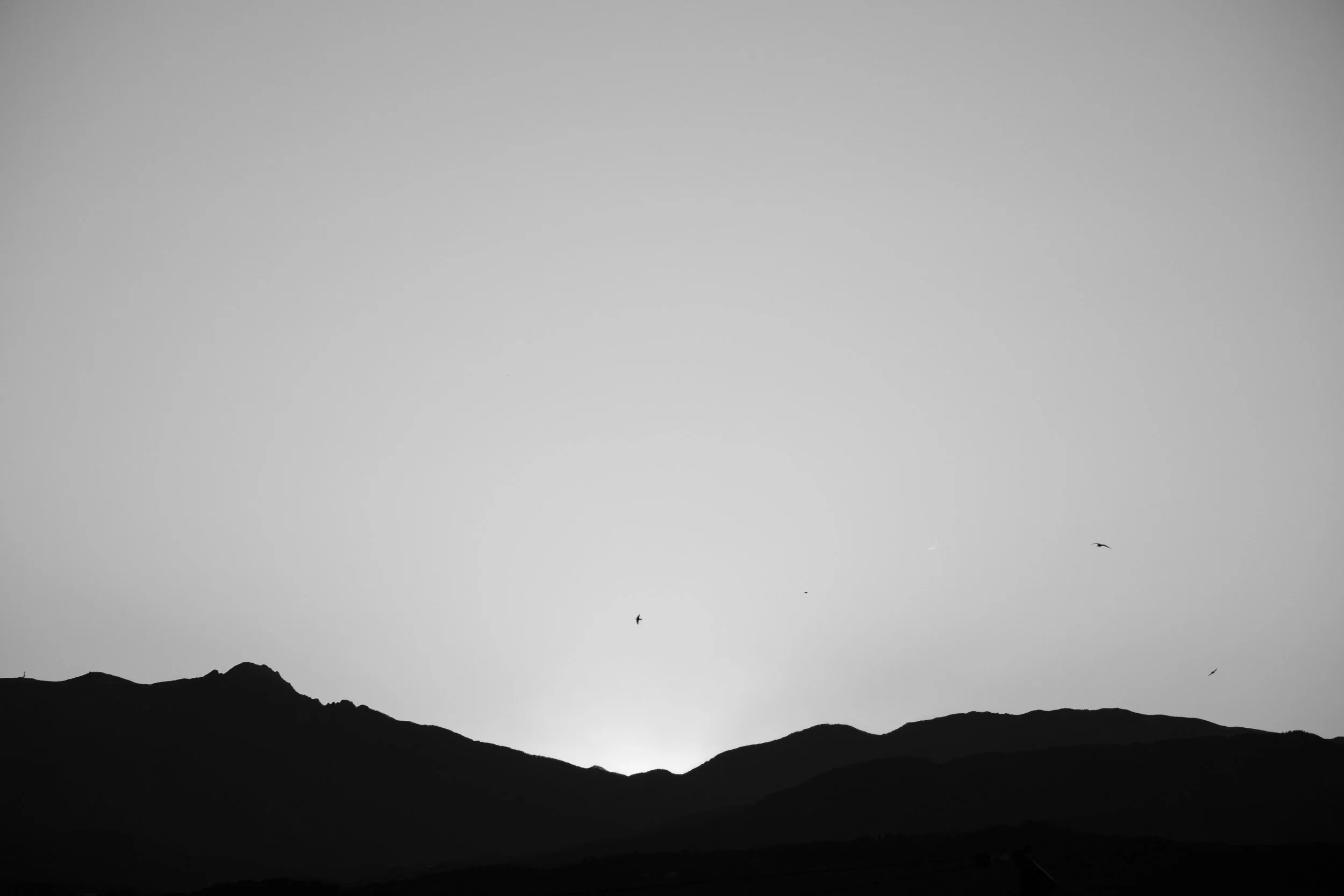BN6A0278053.jpg