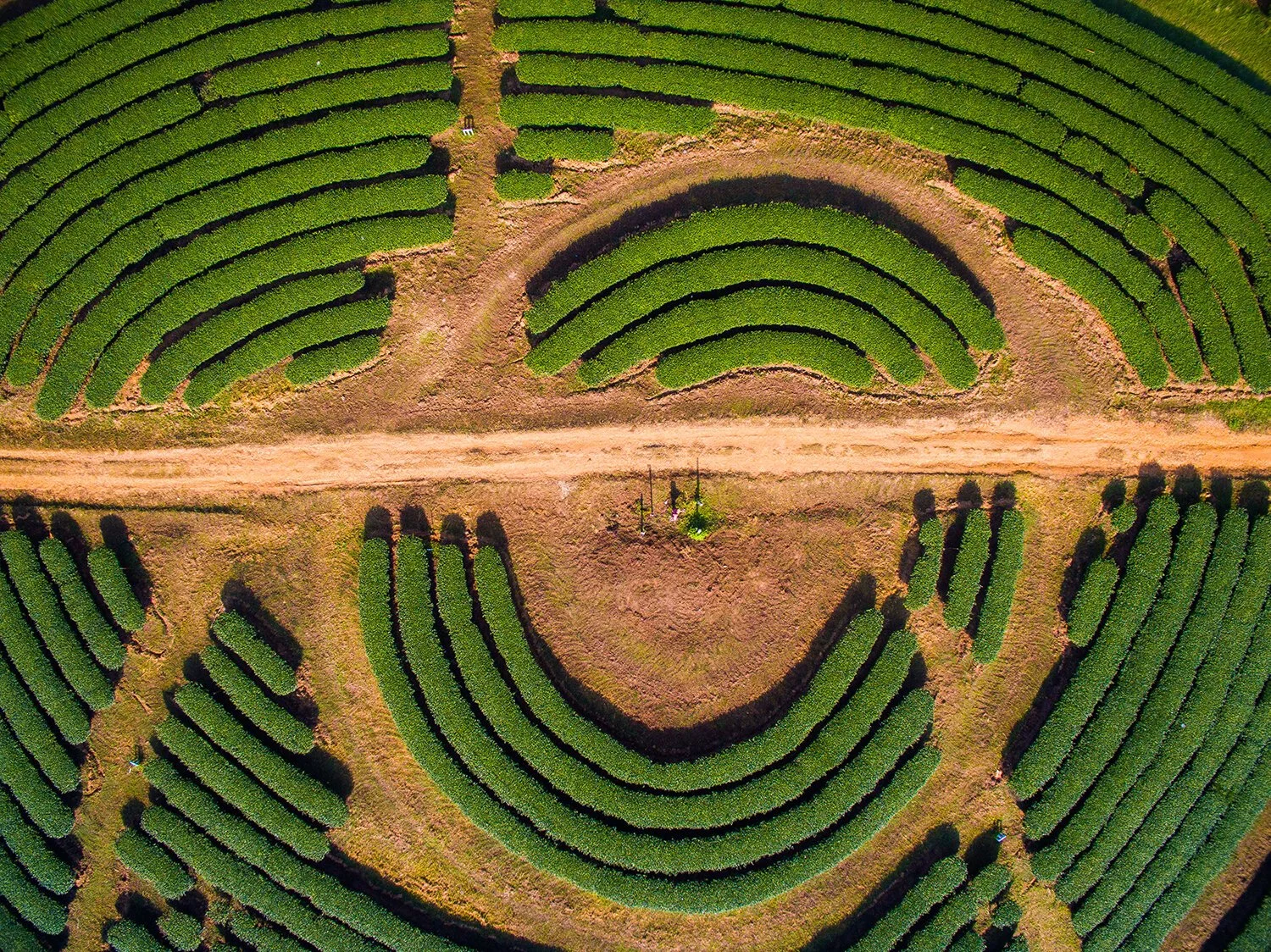 Willis Towers Watson’s enhancement of its Coverage Checkup tool fuels lower prescription drug costs for retirees