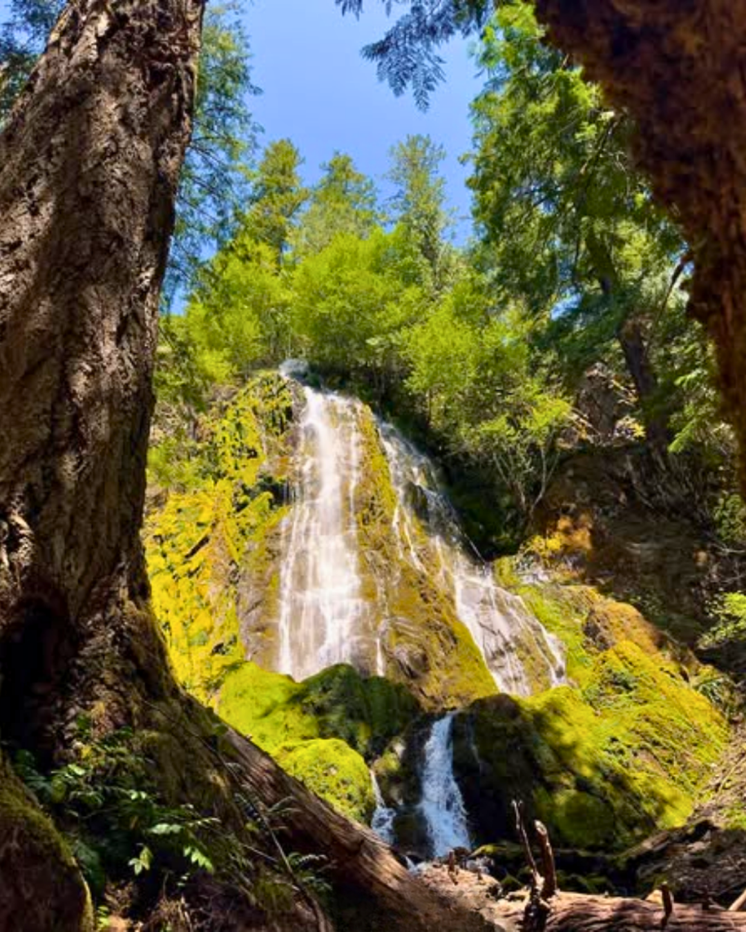 How to hike to Moonfalls, Umpqua National Forest