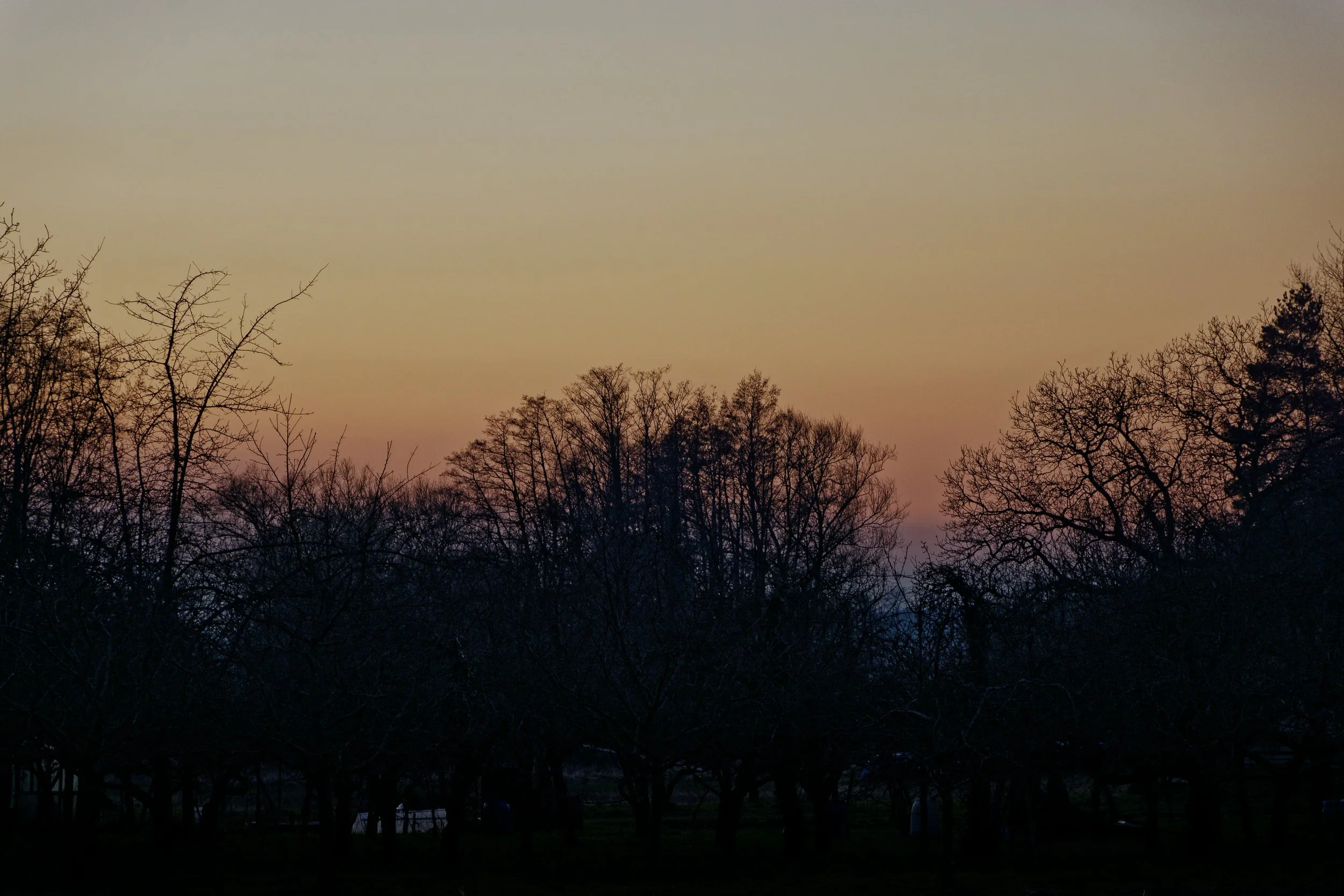 08. Equinox Residue