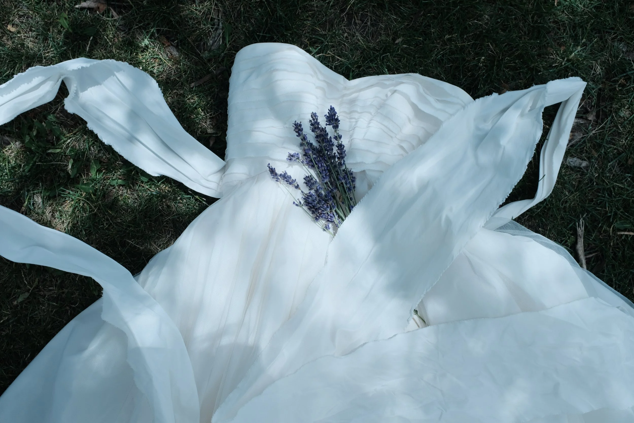 DSCF3281.JPG