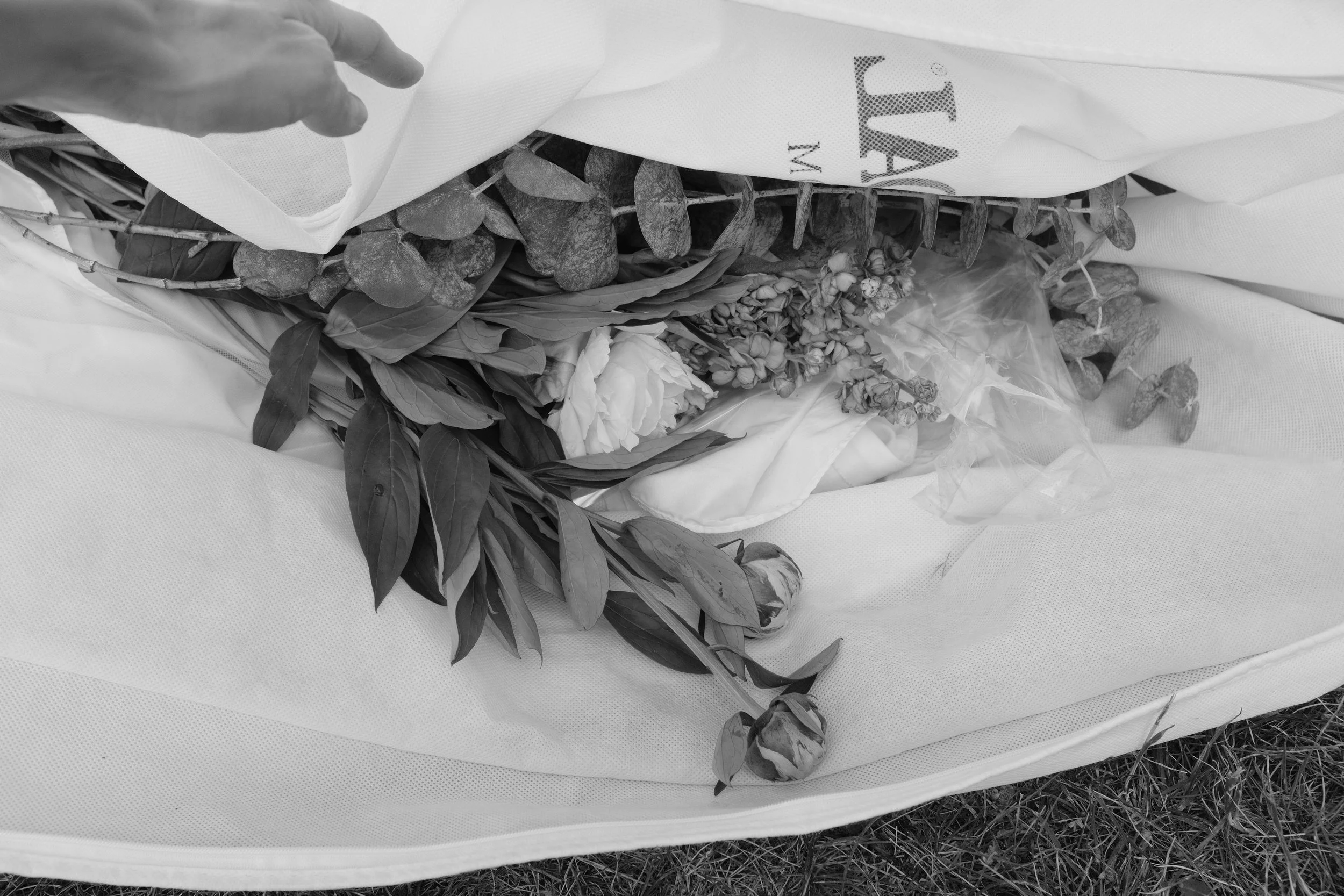 DSCF3366.JPG