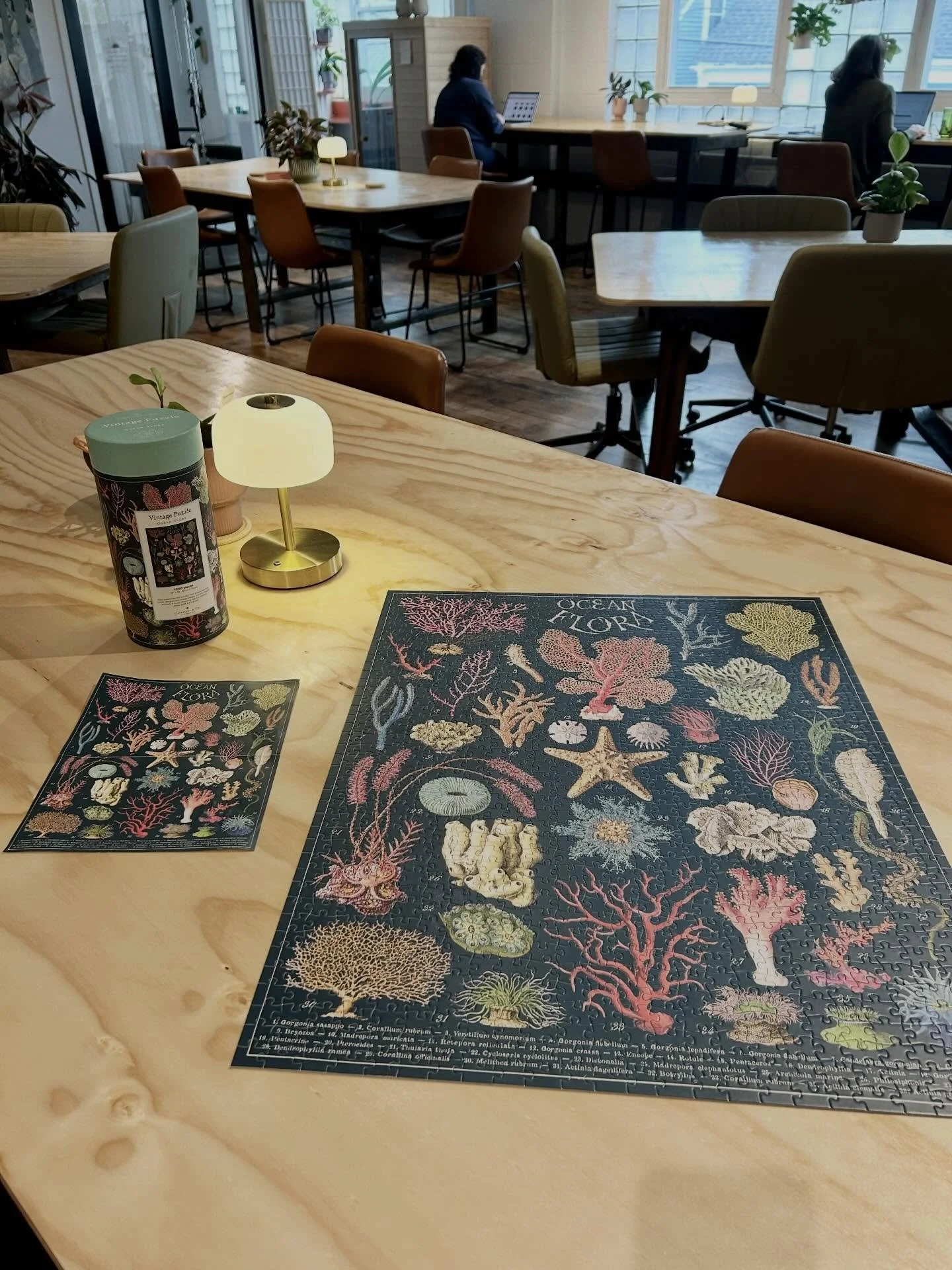 Day 8 of what makes Parlor 
✨ different ✨

🪴 Impromptu puzzle breaks! (Now taking a vote on the next puzzle in group chat ;)

🪴 Knitting Basket ~ because ✨Nordic ✨

🪴 Activity / Brain Detox shelf

We built this space because we noticed that tradit