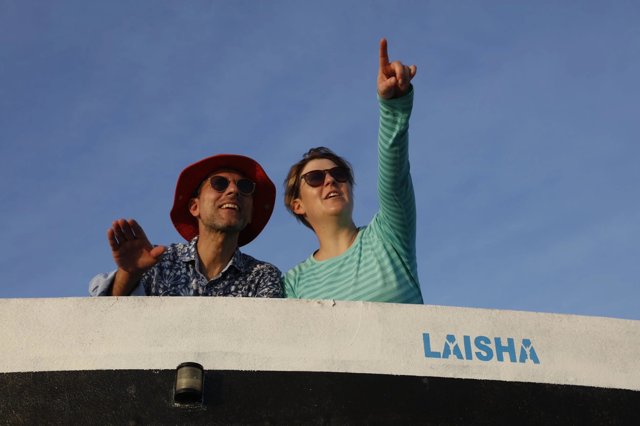 Dolphin Watch Cruise