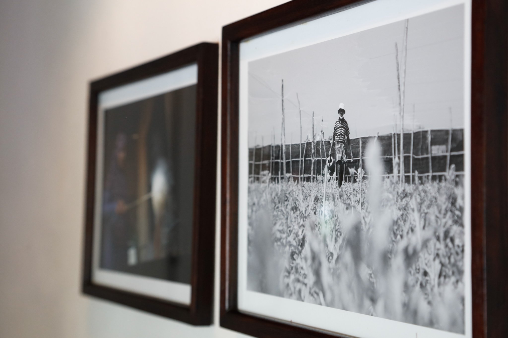 Pictures - Heritage Villas