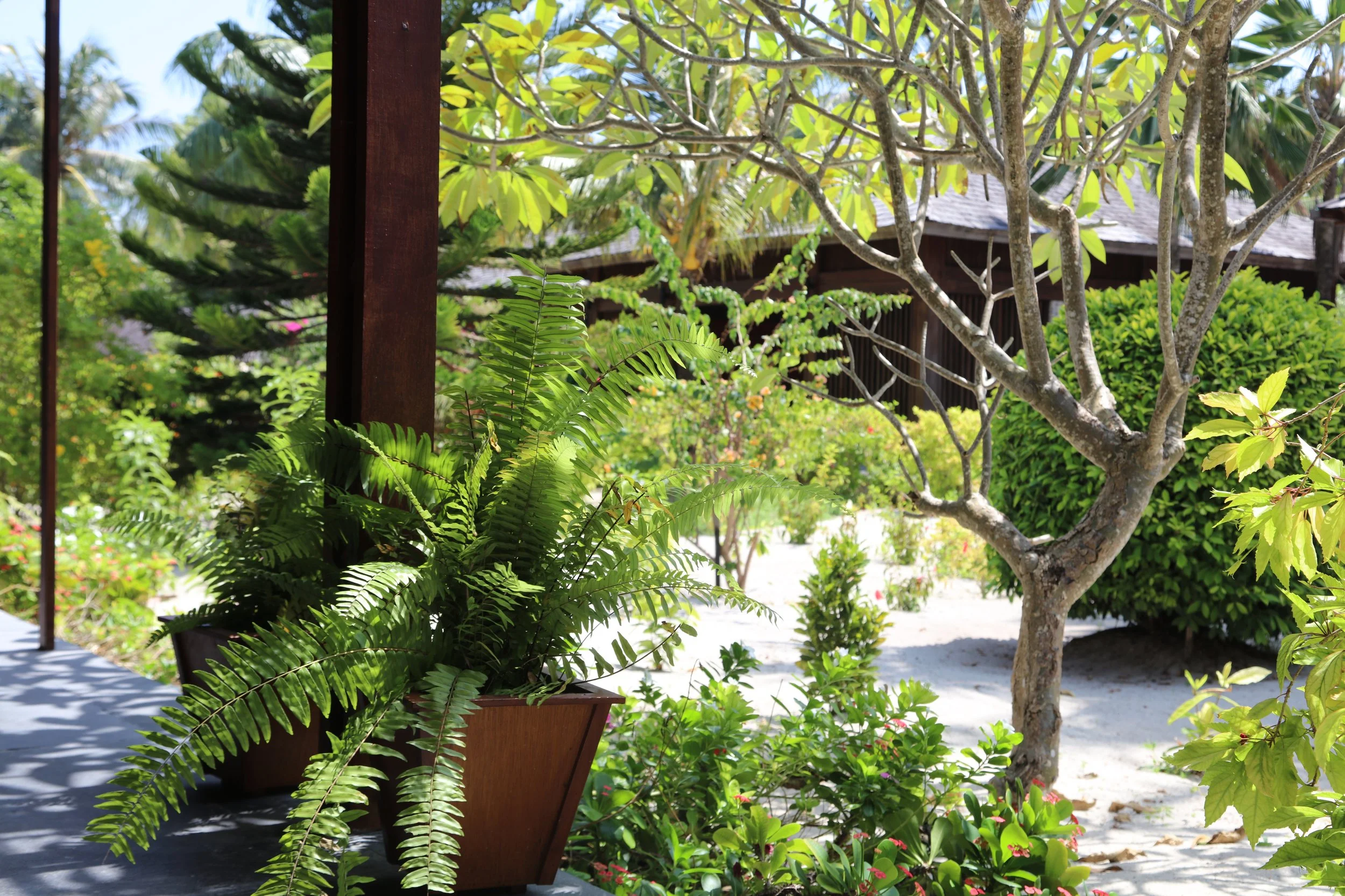 Between Reception and Bar