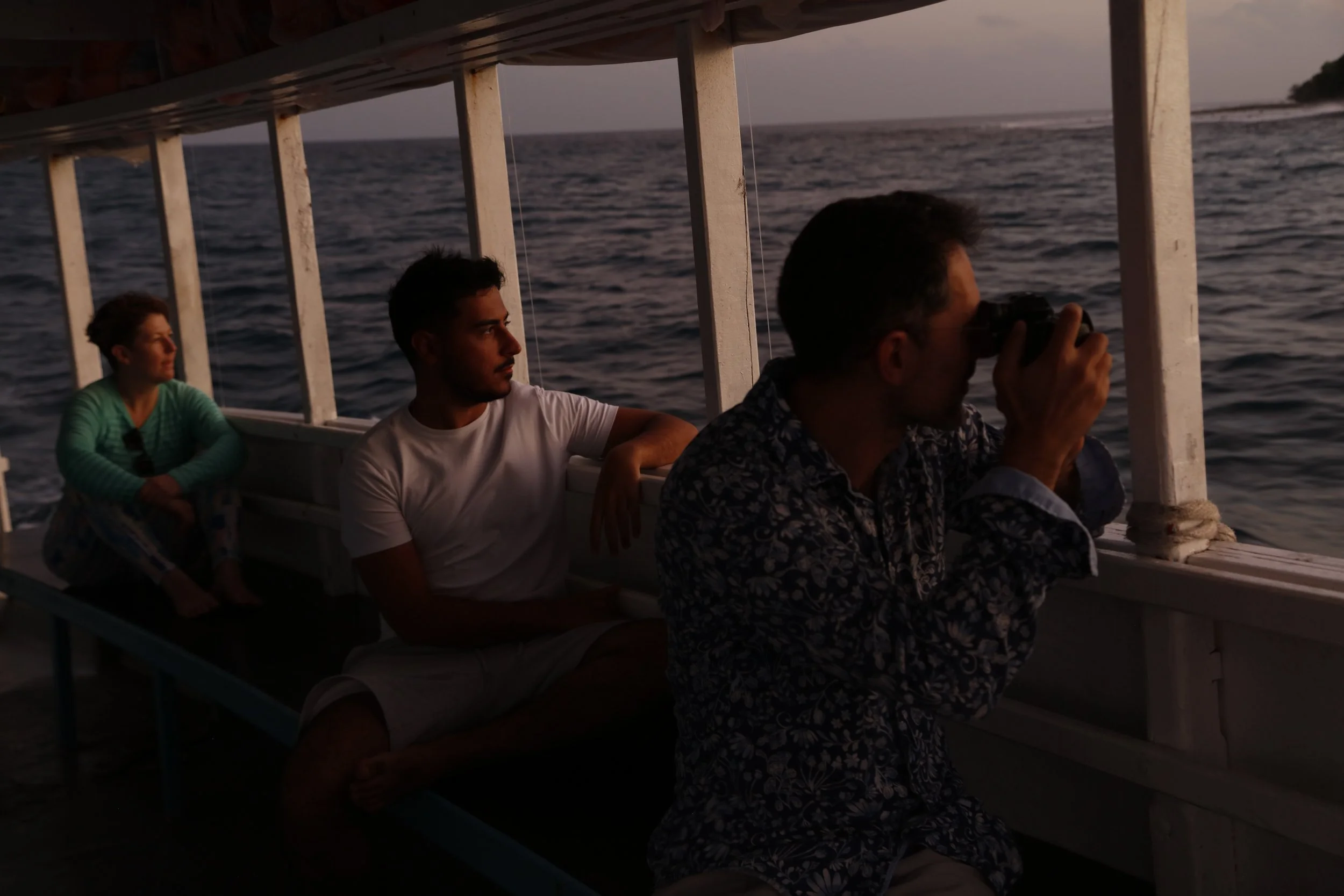 Dolphin Watch Cruise