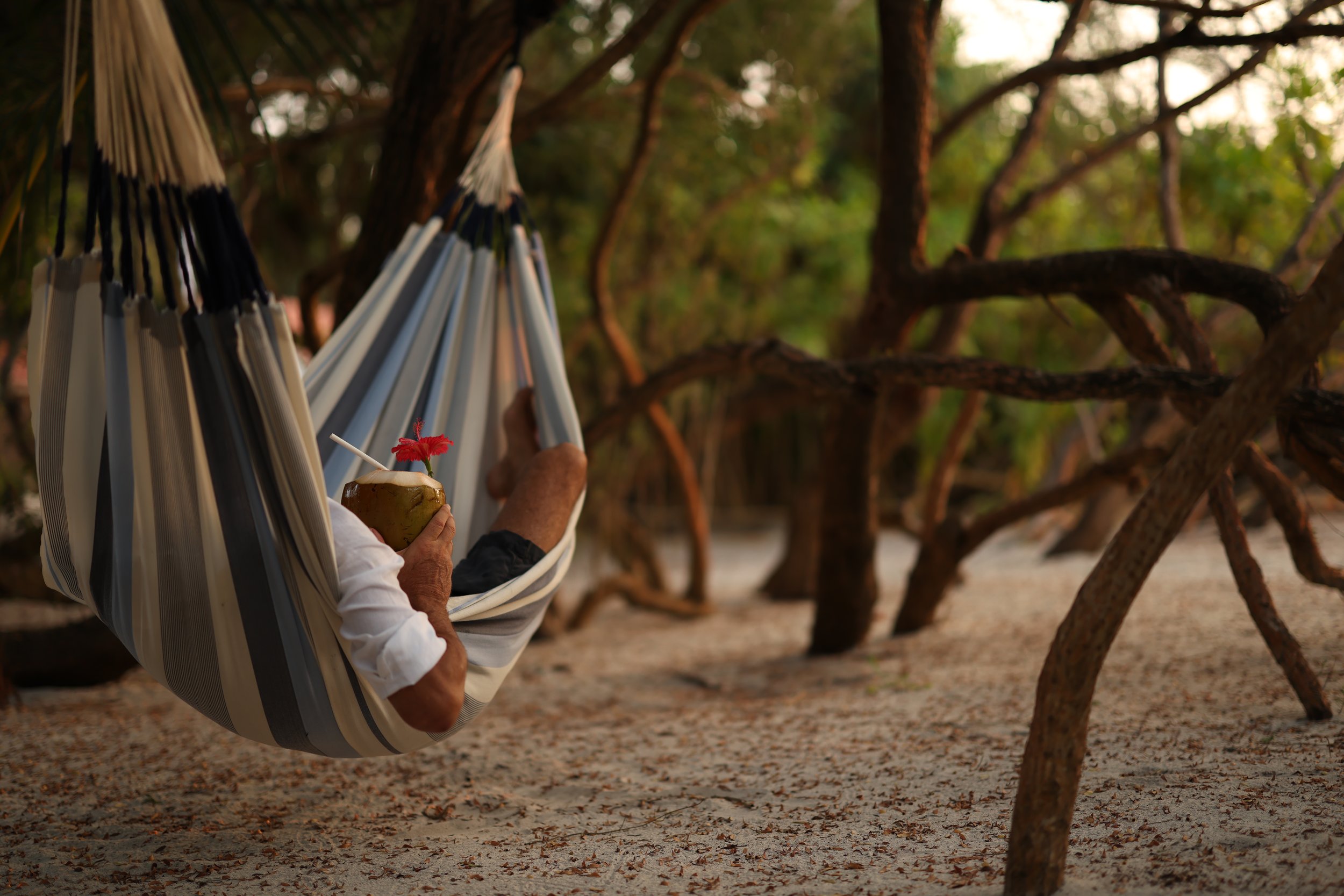 A personal hammock hanging between the villa and the sea. 
