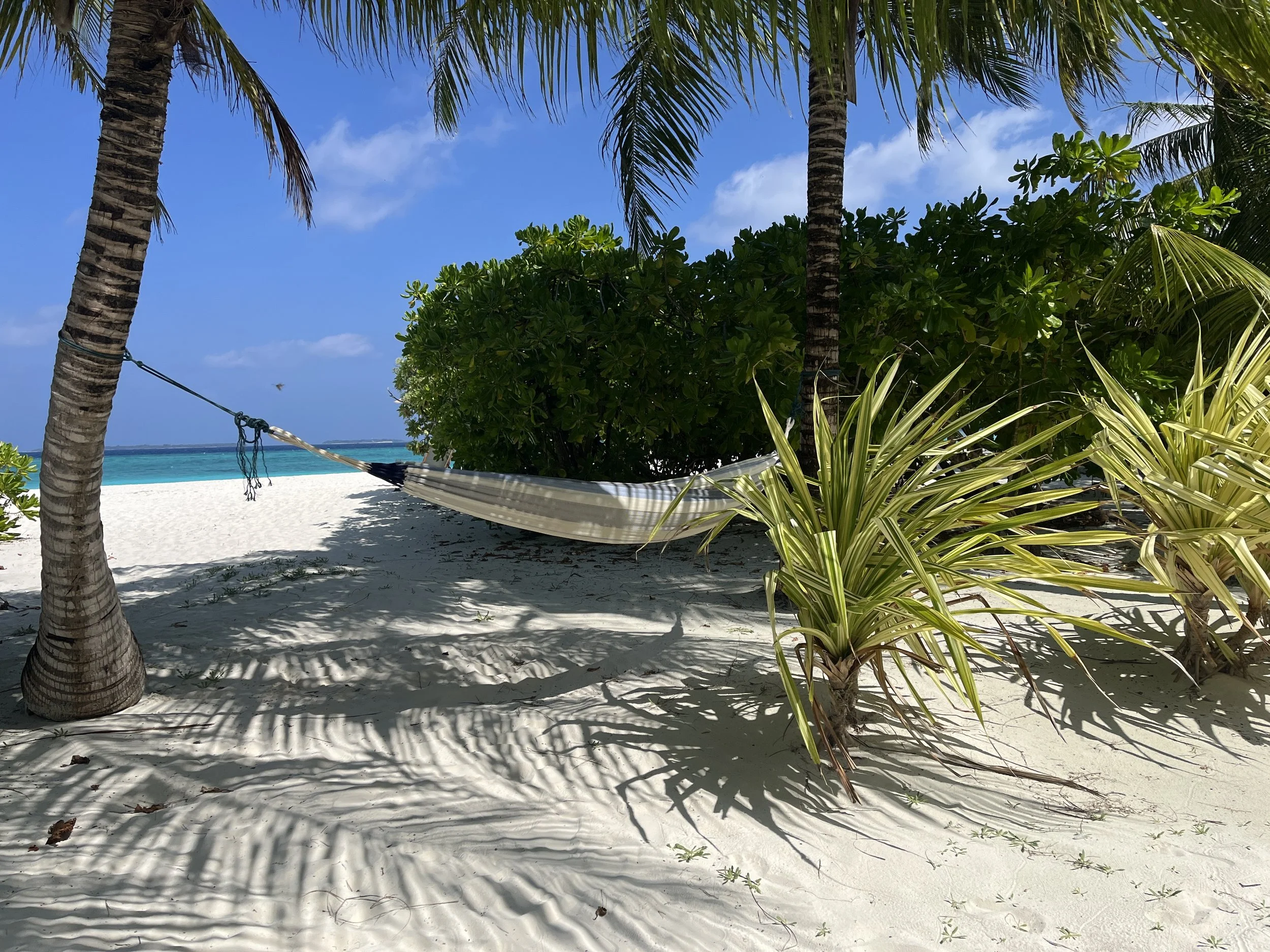 Hammock by the beach