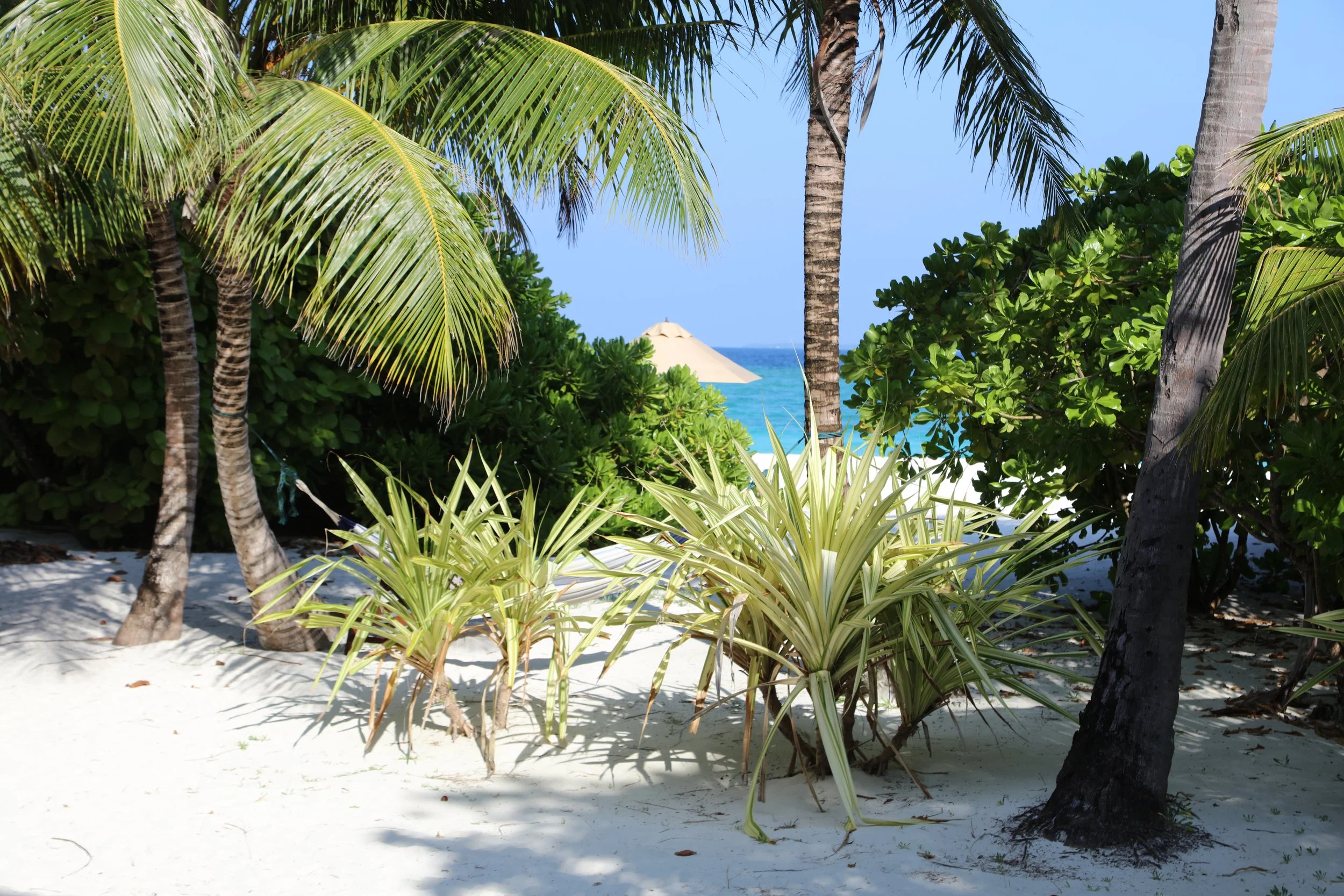 Between Beach and Rooms