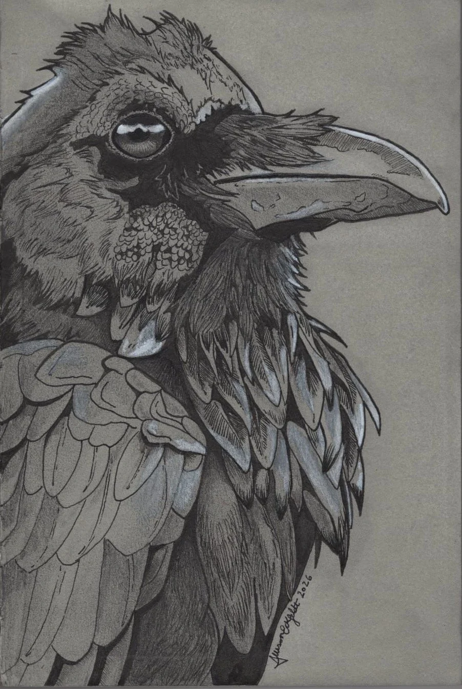 Raven - Allison Eckfeldt Bledsoe.JPG
