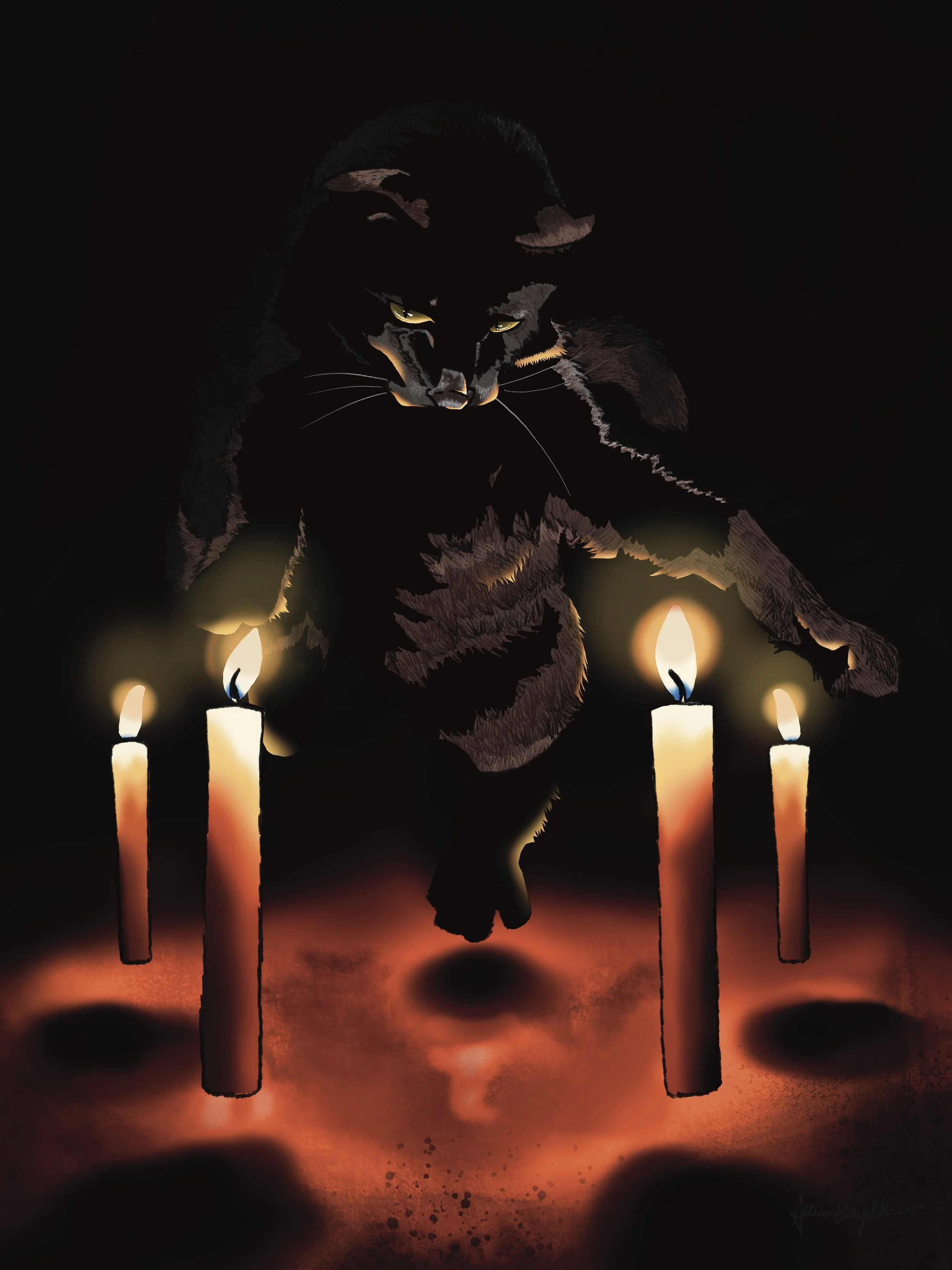 Levitating Black Cat Print (2025) Illumination Series.