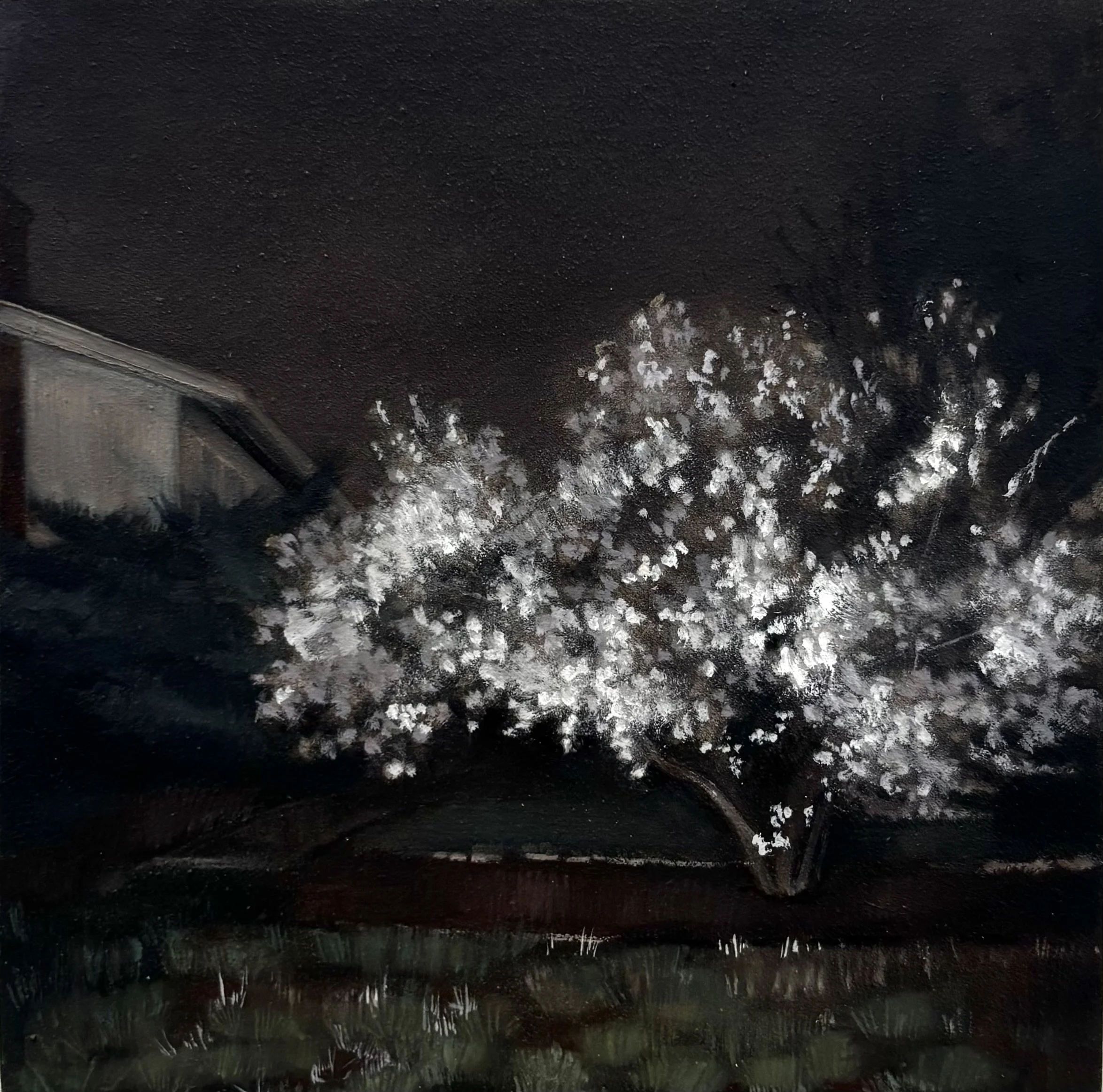 "Soft Attempt"
2025, oil on panel, 5x5"