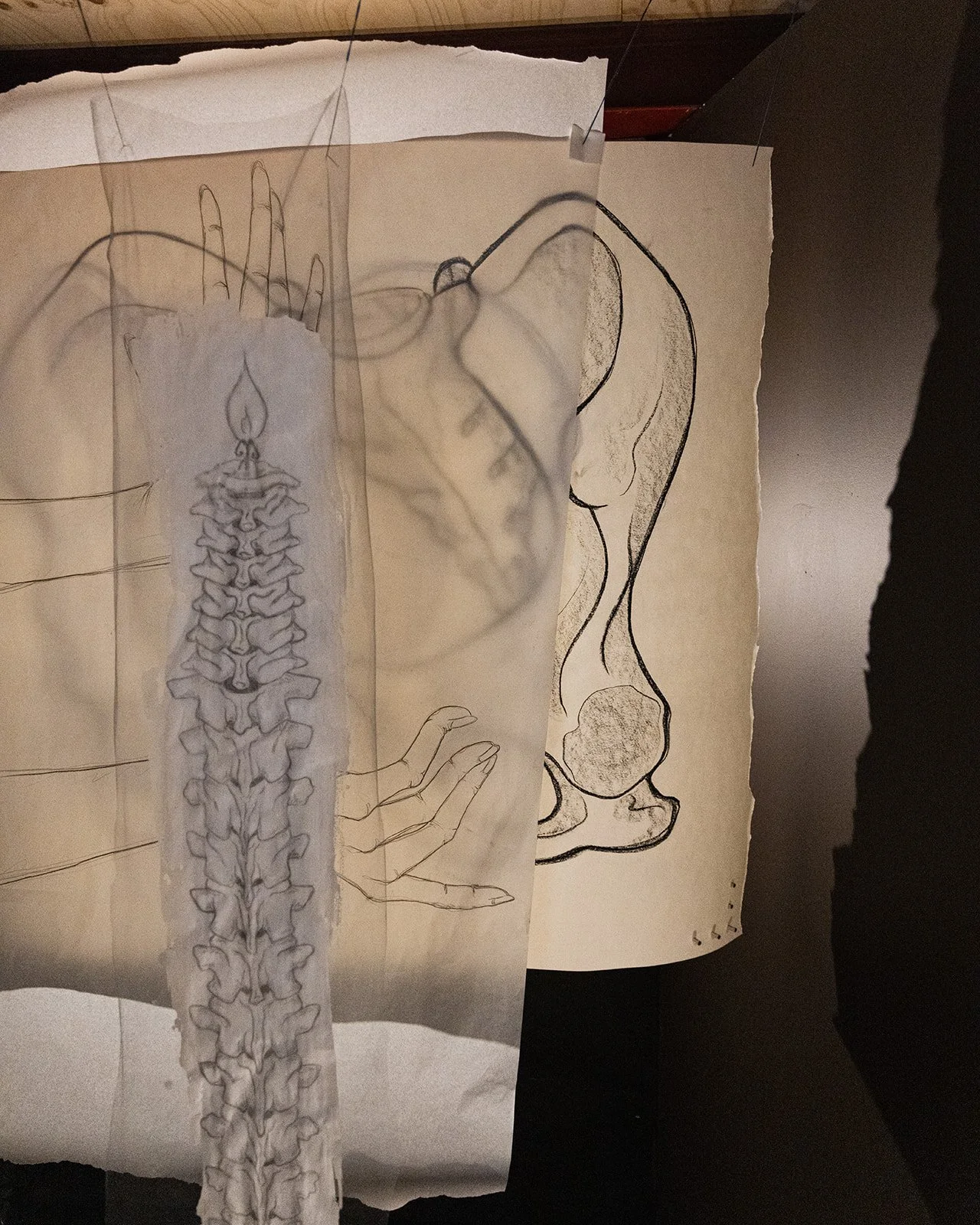 KamrynRose-Art_ShowTellExhibit_0154.jpg