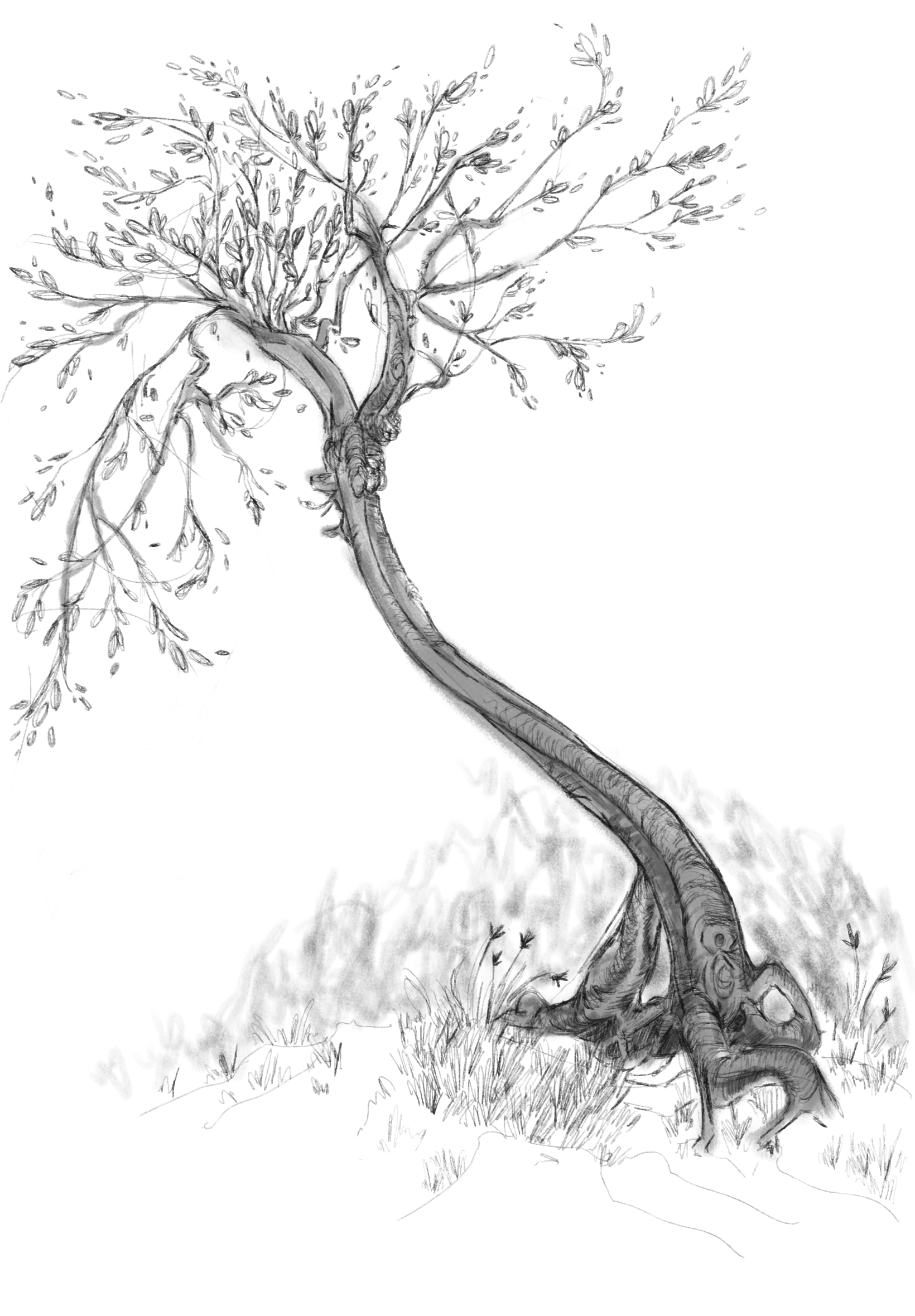 IMG_0125.png