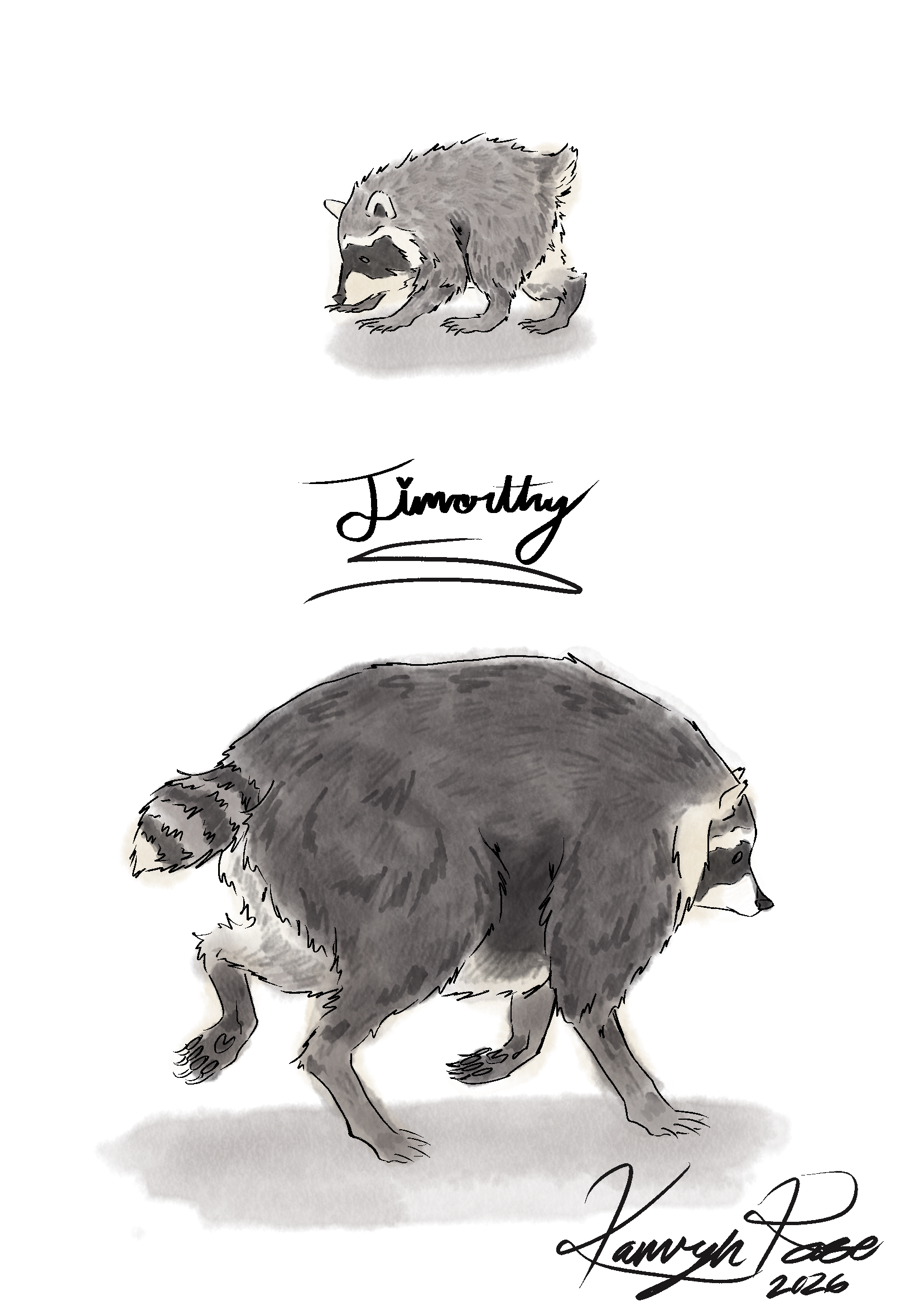 IMG_0122.png