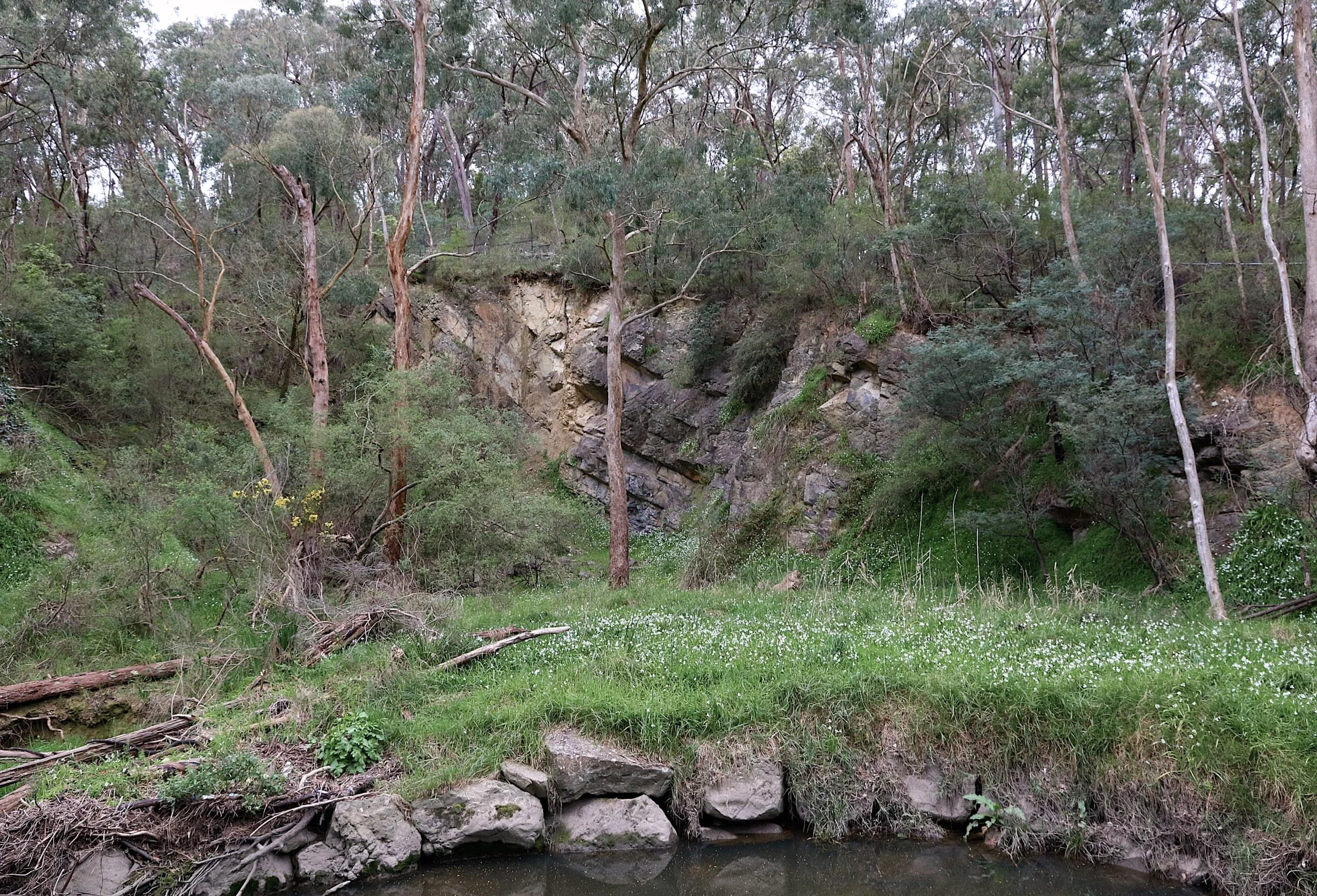 Site of the commercial quarry in Yarran Dheran known to have operated until at least 1893
