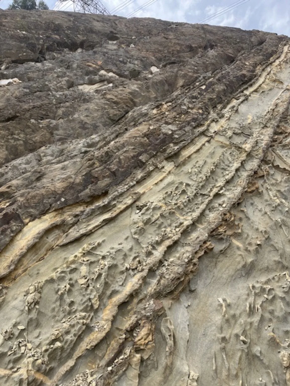 Folded sedimentary rock exposed along the walking trail from the Eastlink Ventilation Stack to Ringwood