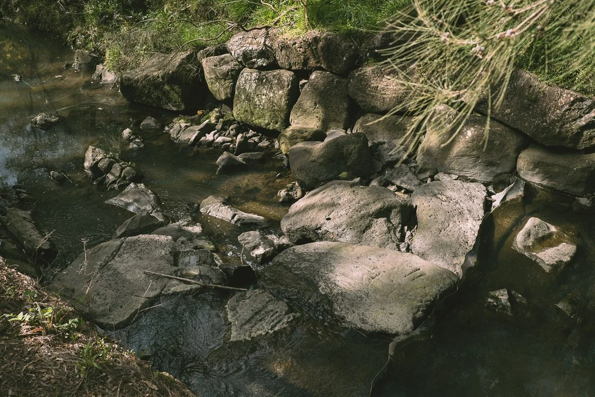 Mullum Mullum Creek flowing through rocks surrounded by green vegetation.