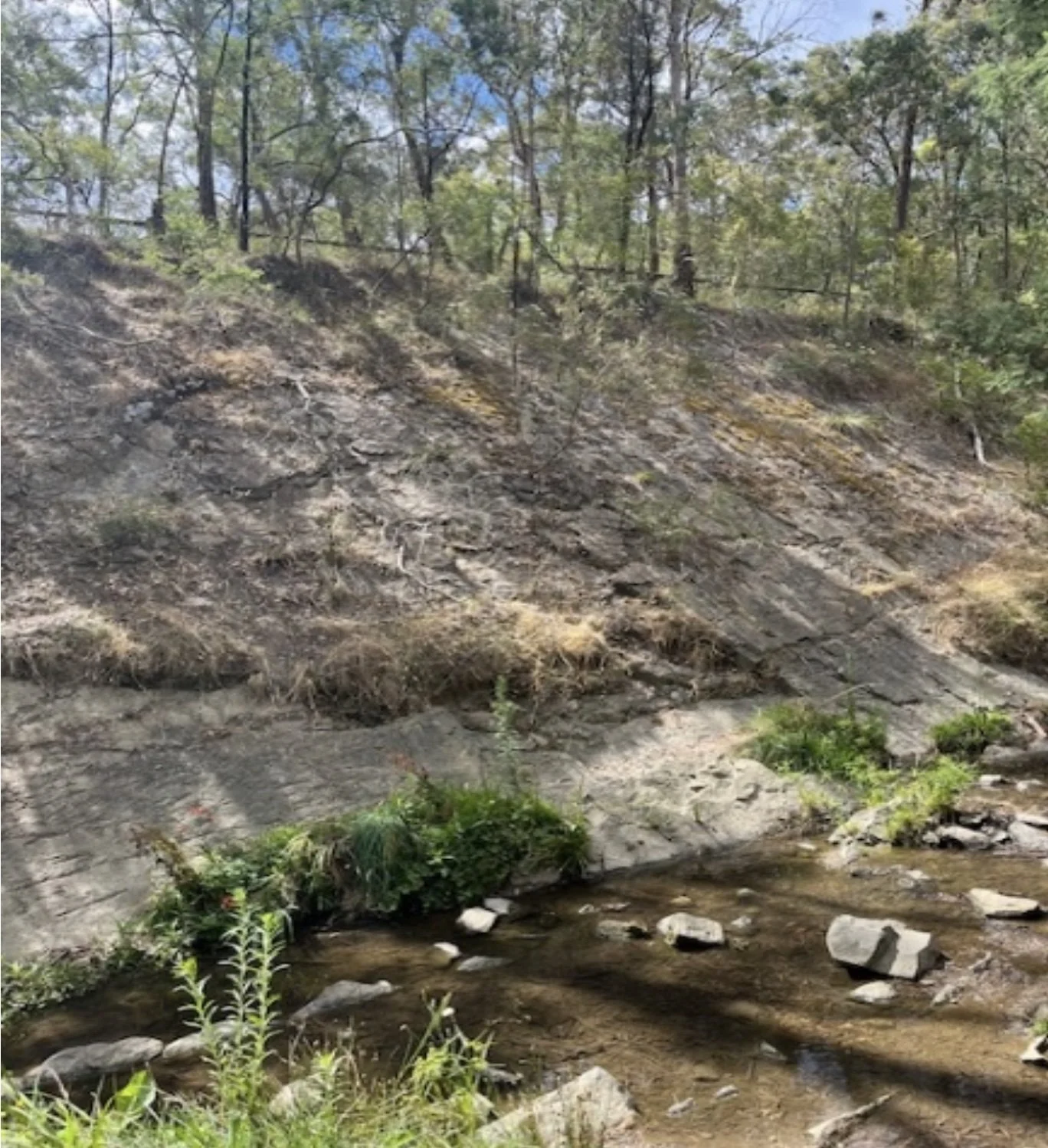 The escarpment at the location along the creek known as 'The Beach'