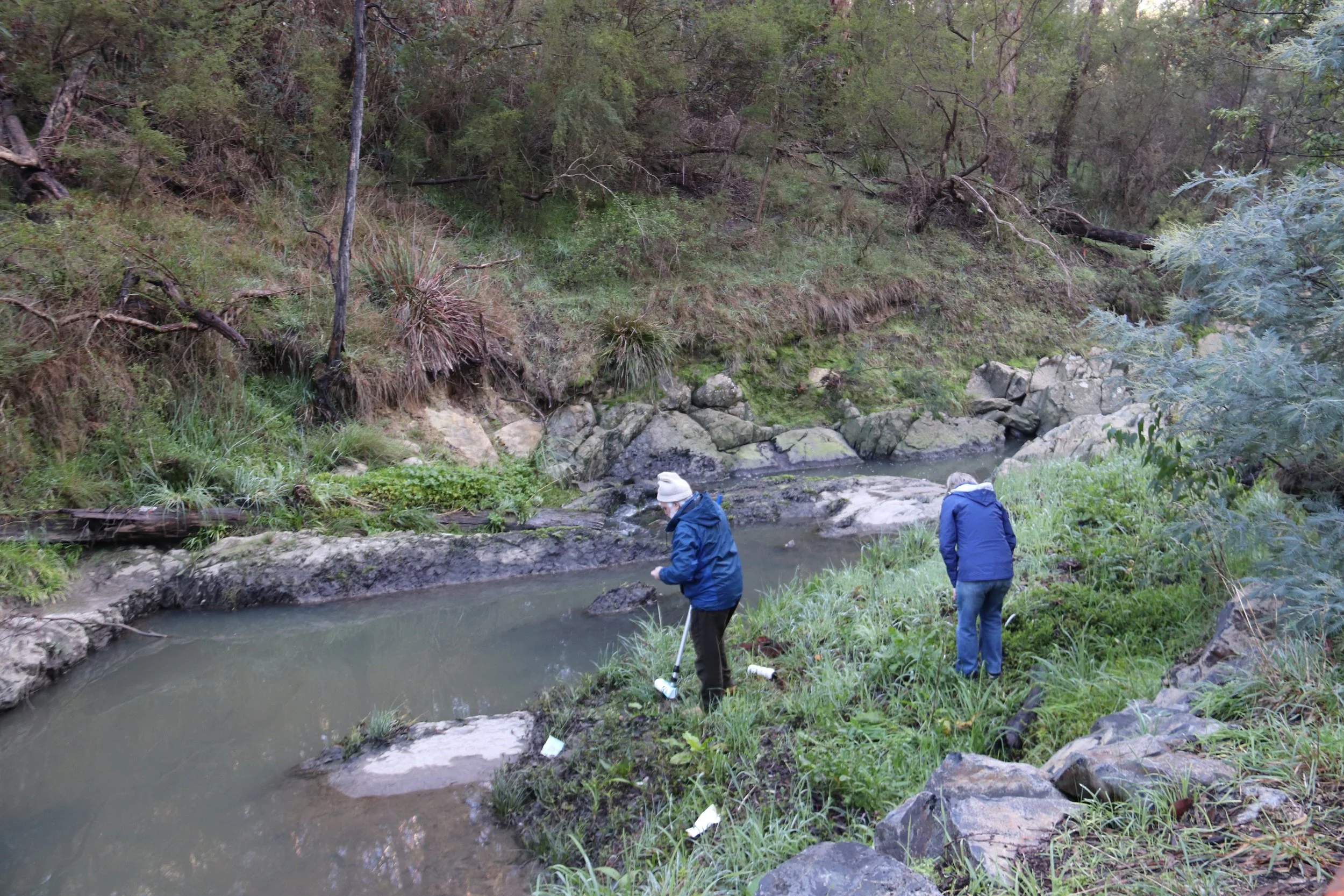Clean Up Australia Day 2026 at Yarran Dheran