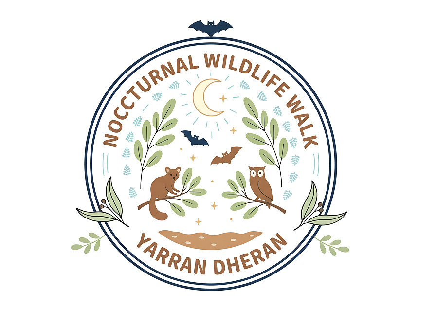 👀 Nocturnal Wildlife Walk with Ian Moodie