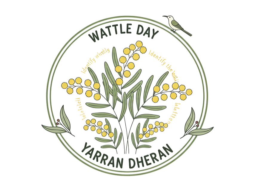 🌿 Celebrate Wattle Day and identify wattles of Yarran Dheran