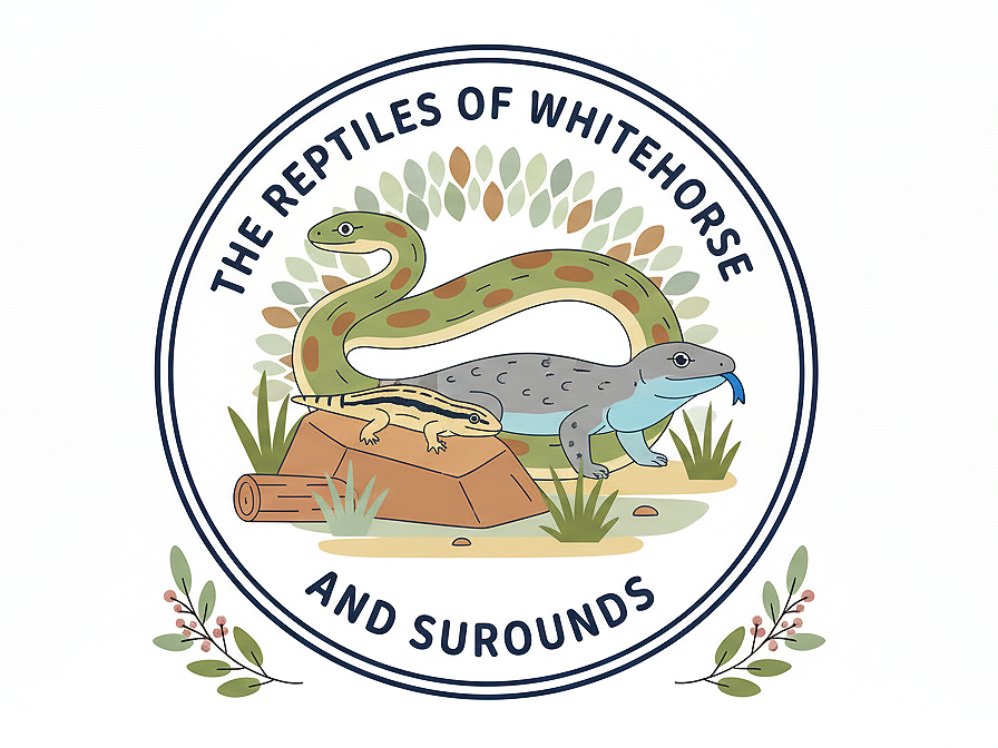 🐍 The Reptiles of Whitehorse with David De Angelis