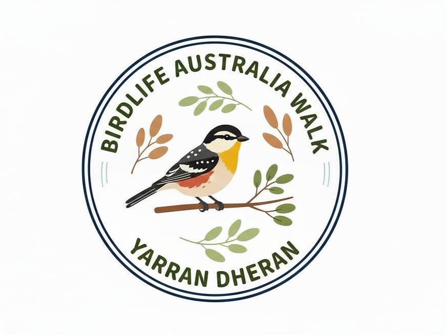 🦆  Birds in Yarran Dheran led by BirdLife Australia