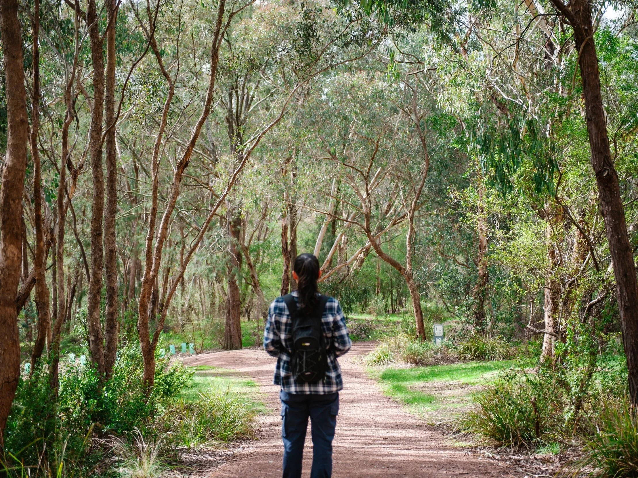 Spring Mindfulness Nature Walk