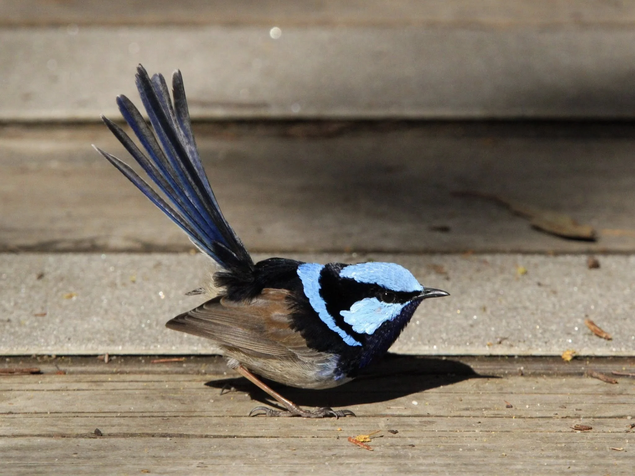 Photo by: Charlotte M