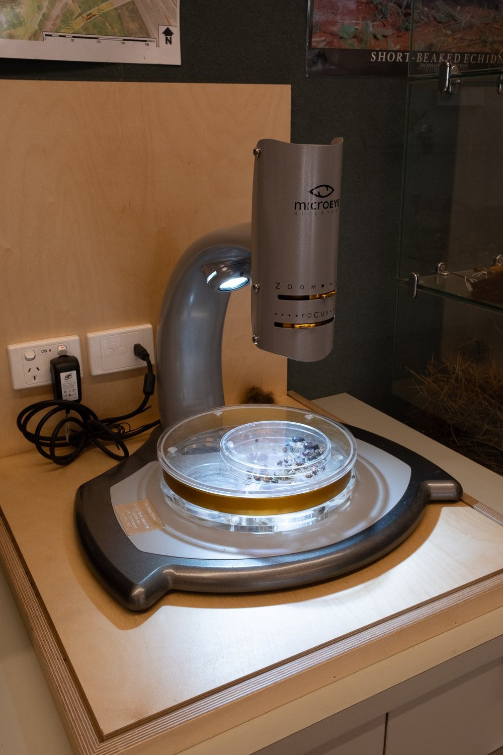 The digital microscope on its bench, with a lit specimen dish beneath the lens.