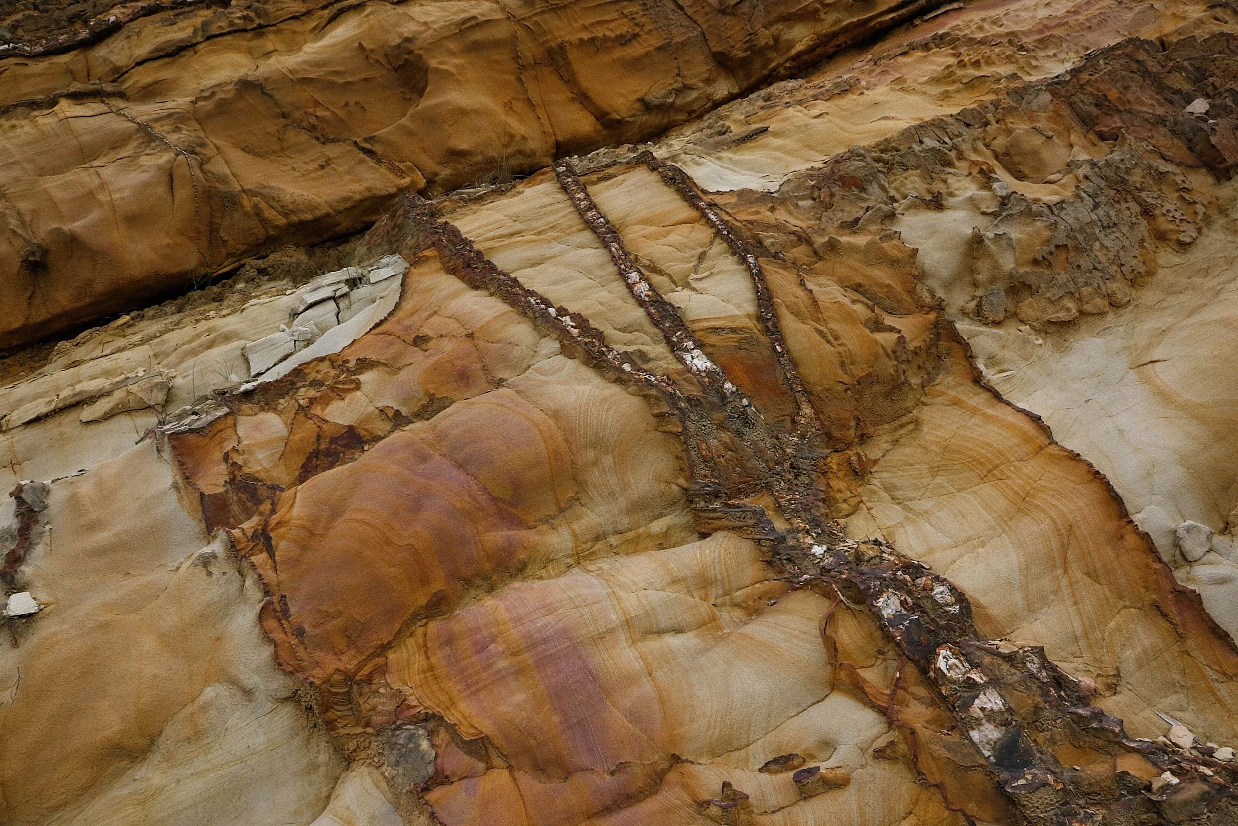 Folded sedimentary rock exposed along the walking trail from the Eastlink Ventilation Stack to Ringwood 