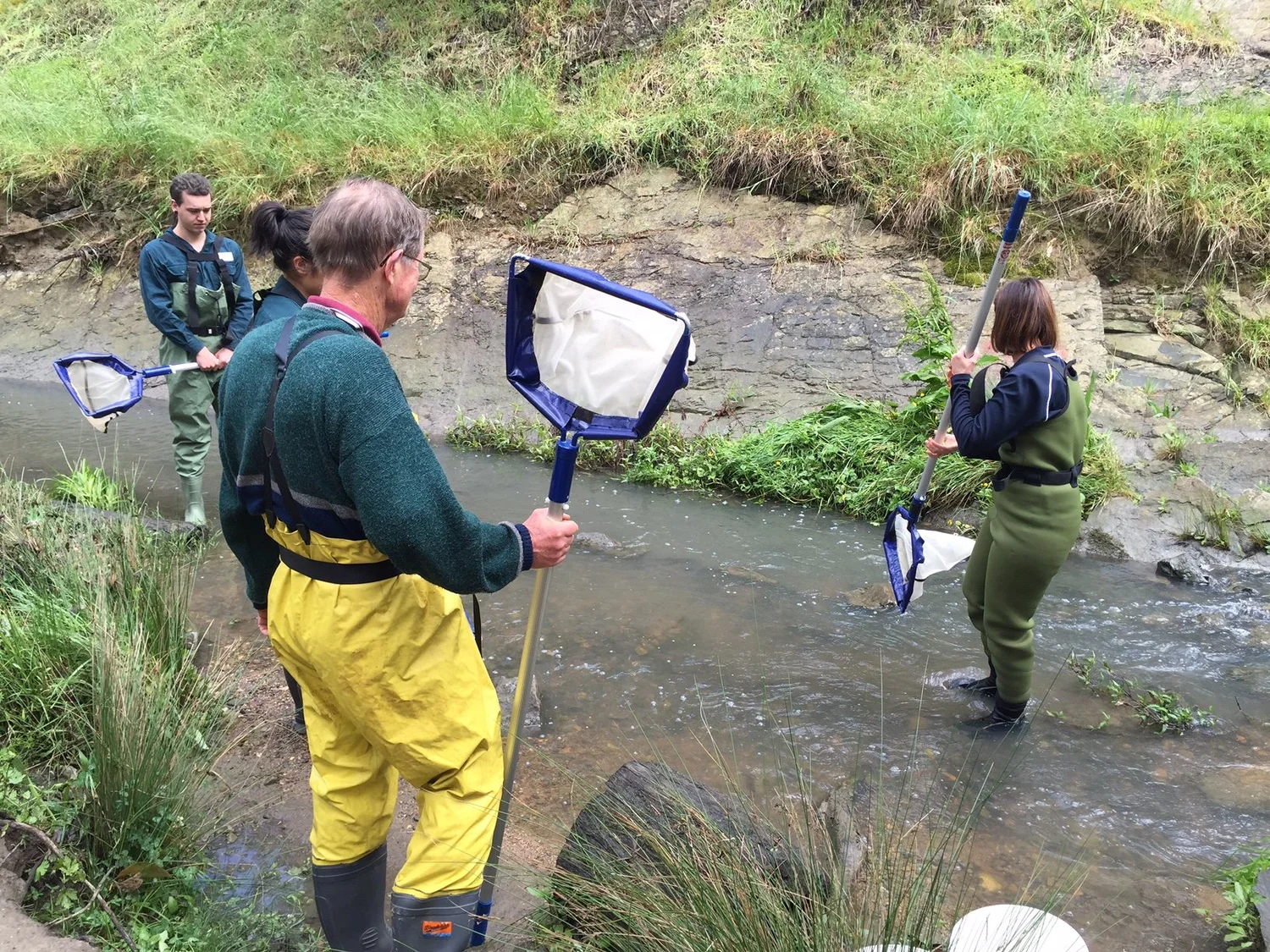 Waterwatch volunteers monitoring Mullum Mullum Creek at Yarran Dheran