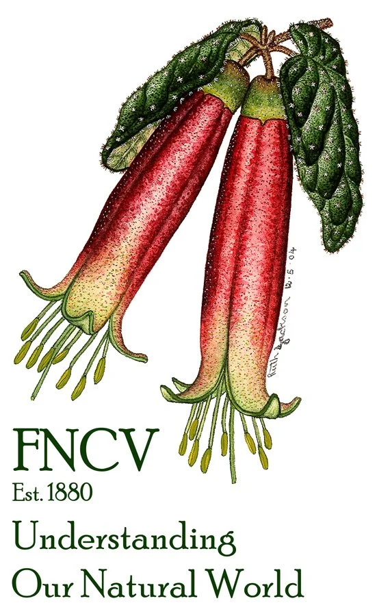 Field Naturalists Club of Victoria