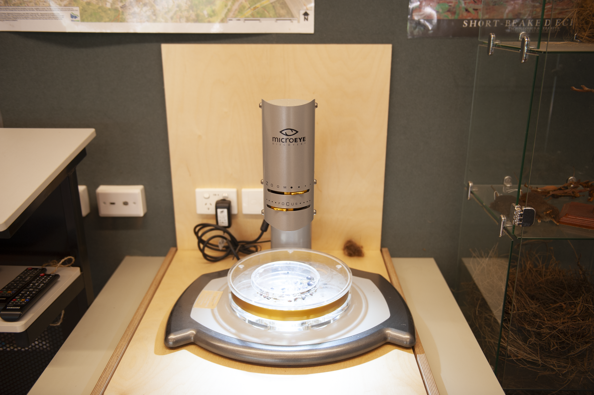 A scientific microscope positioned over a petri dish, connected to power outlets on a wooden panel in a laboratory setting.