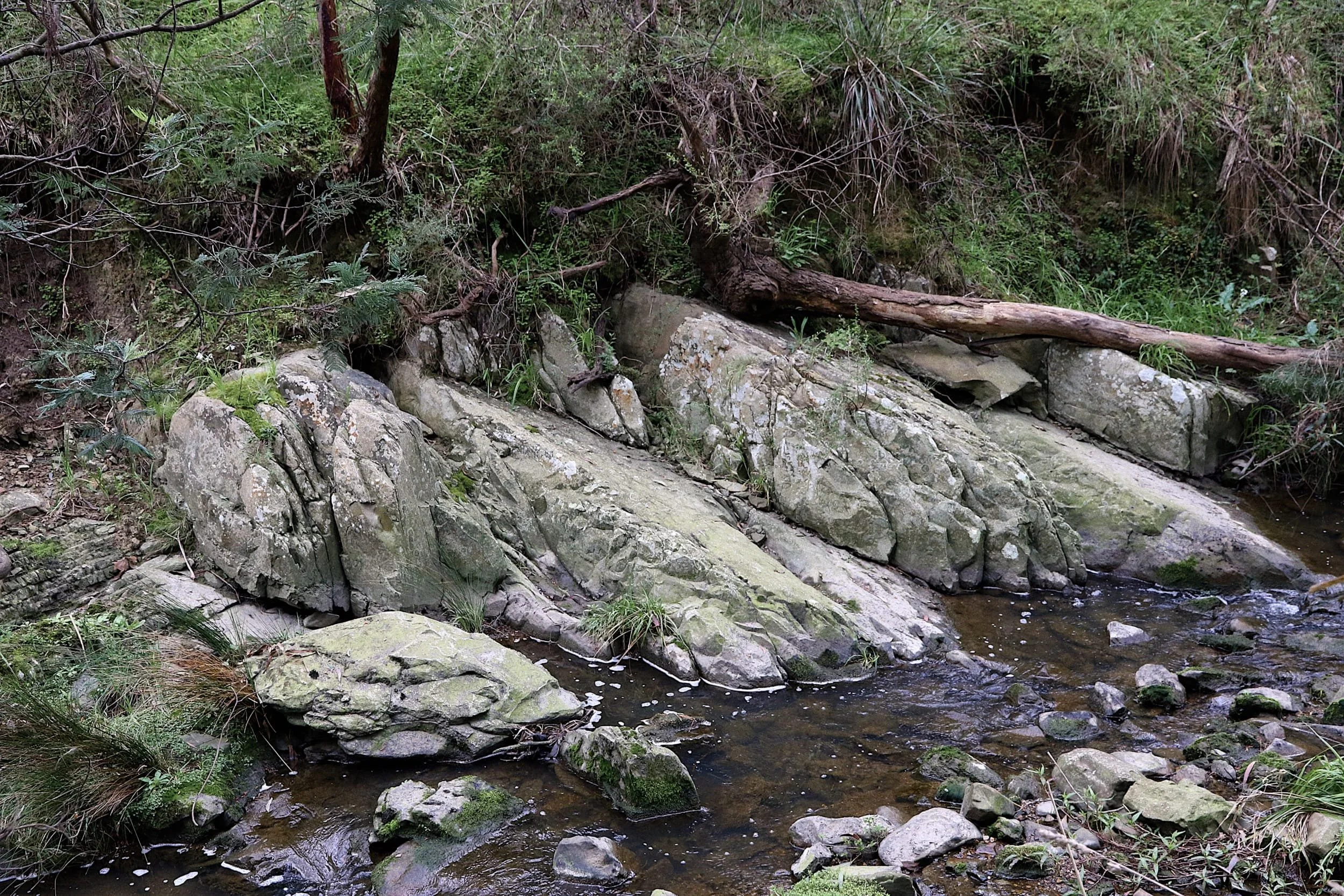 The 'rocky bottom' of the Mullum Mullum Creek can be observed at many locations