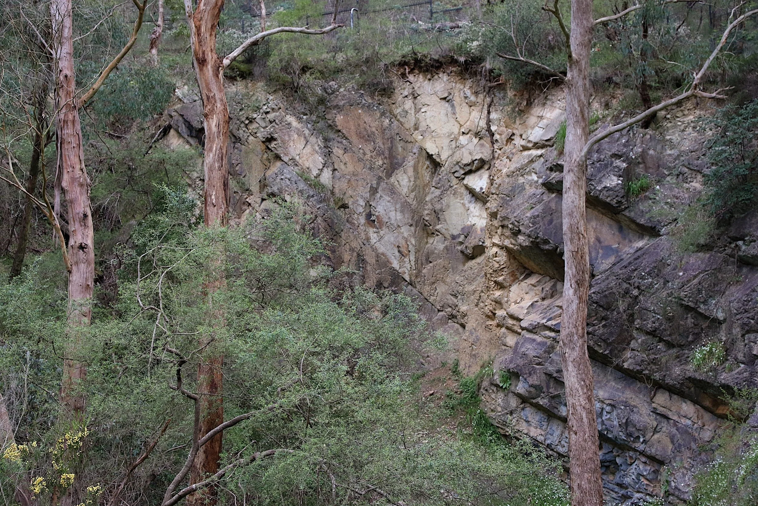 Site of the commercial quarry in Yarran Dheran known to have operated until at least 1893