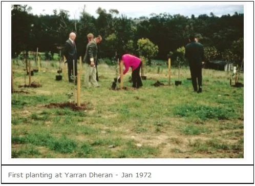 firstplantingatyarrandheran1972.jpg