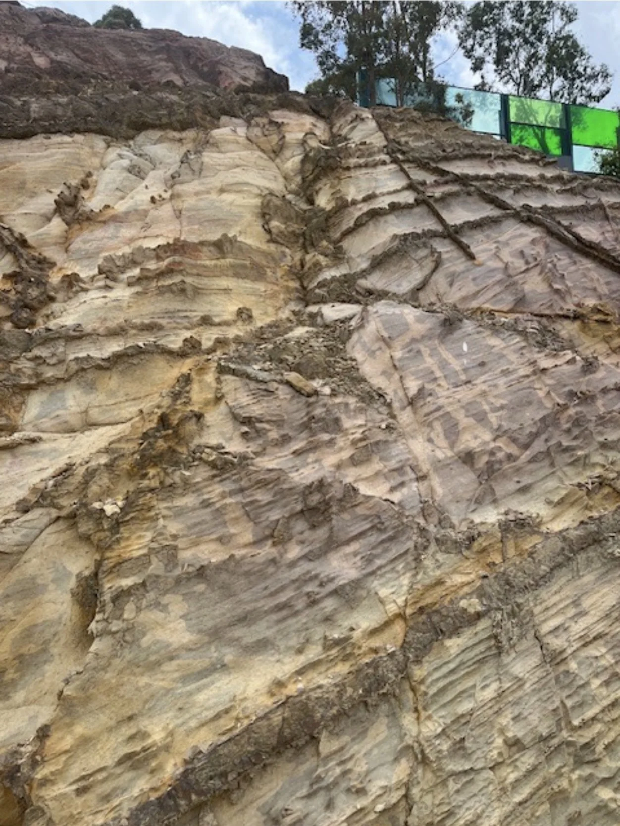 Folded sedimentary rock exposed along the walking trail from the Eastlink Ventilation Stack to Ringwood