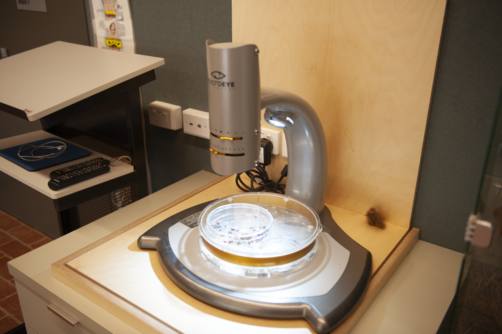 A laboratory setup with a Petri dish on a turntable, illuminated by a light from a microscope, and a microscope positioned above it.