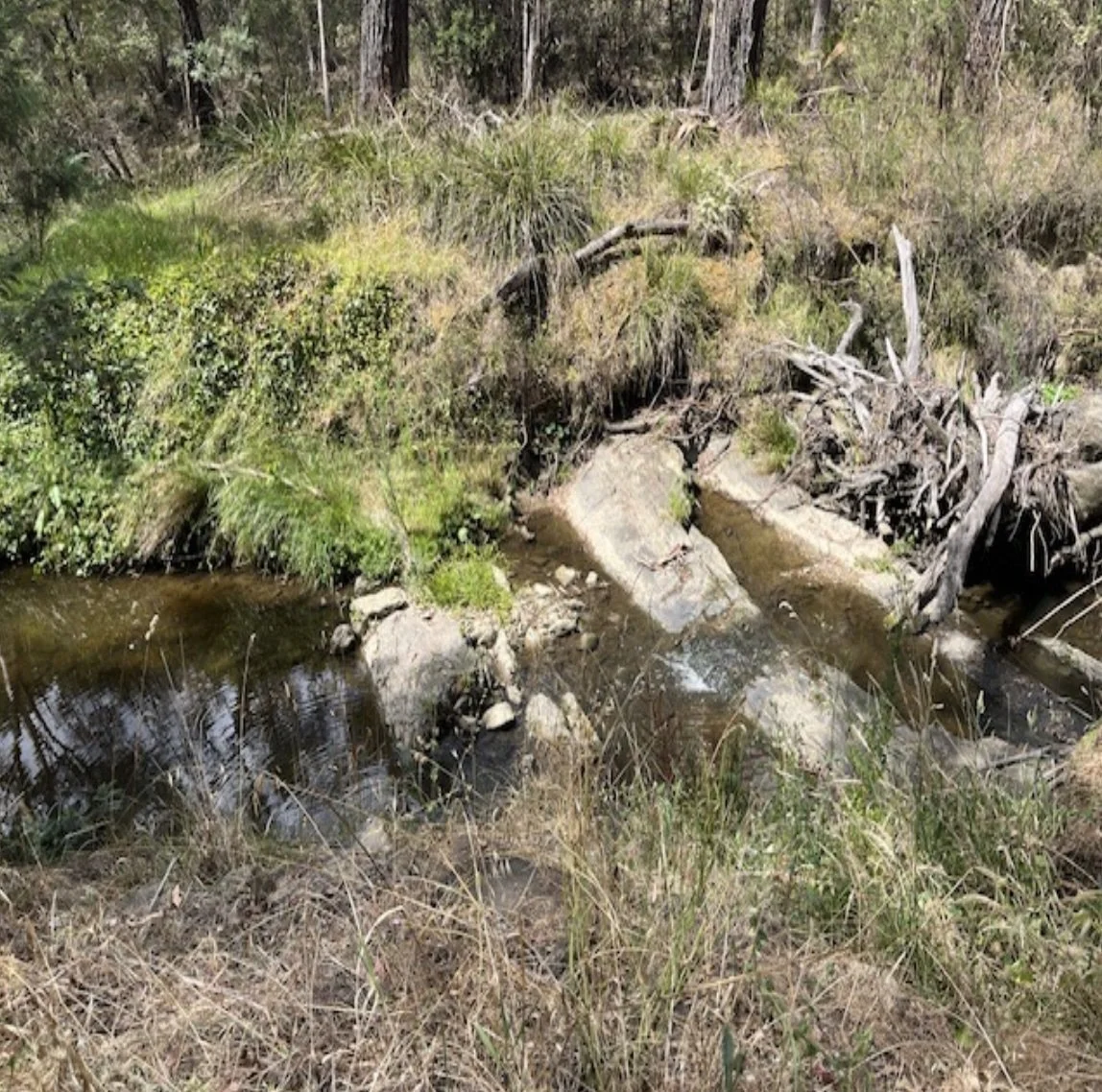The 'rocky bottom' of the Mullum Mullum Creek can be observed at many locations