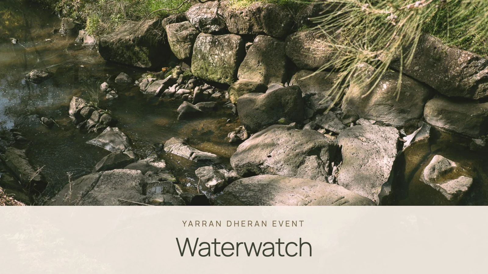 🧪 WaterWatch - Help monitor the health of Mullum Mullum Creek