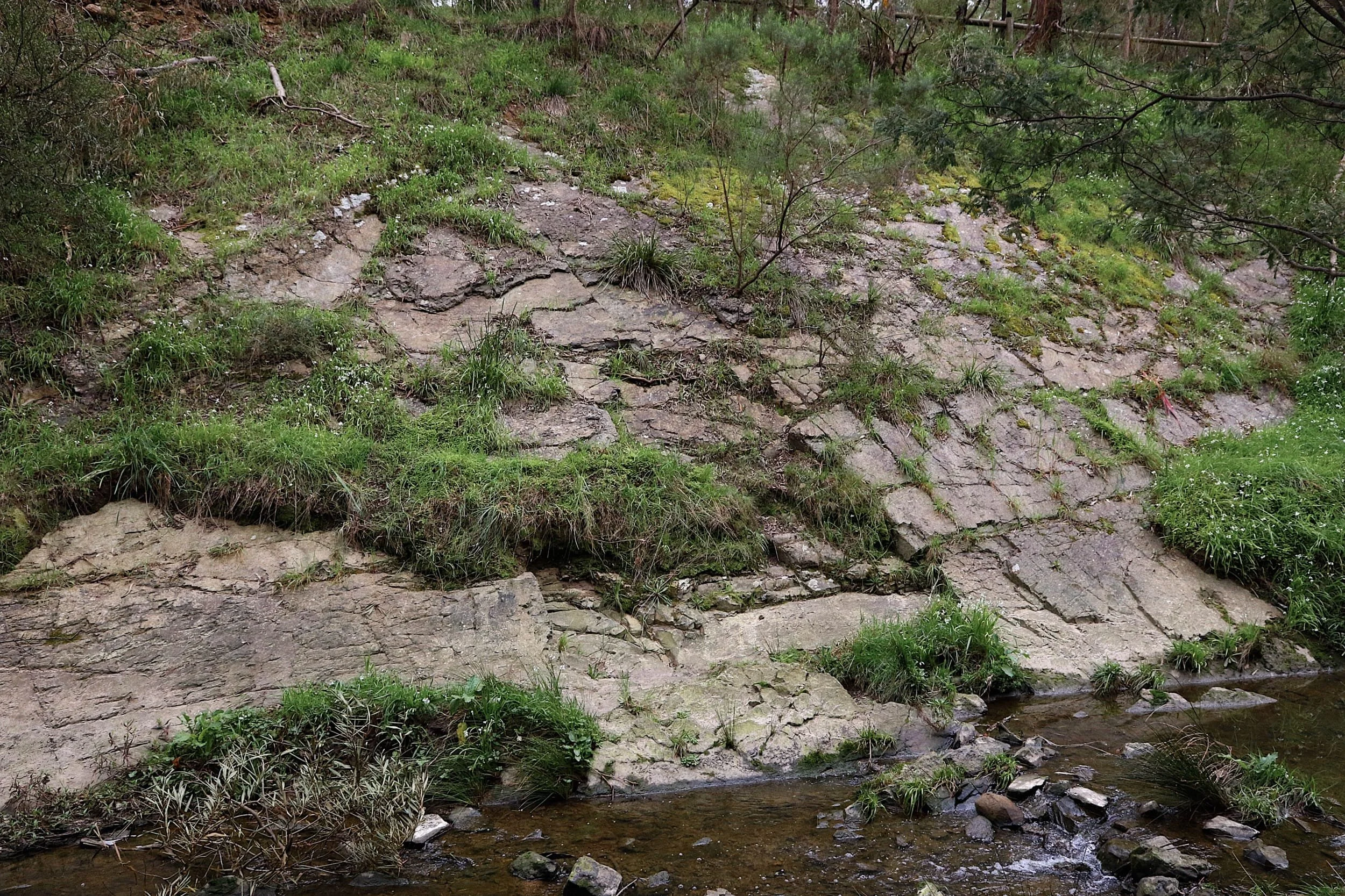 The escarpment at the location along the creek known as 'The Beach'