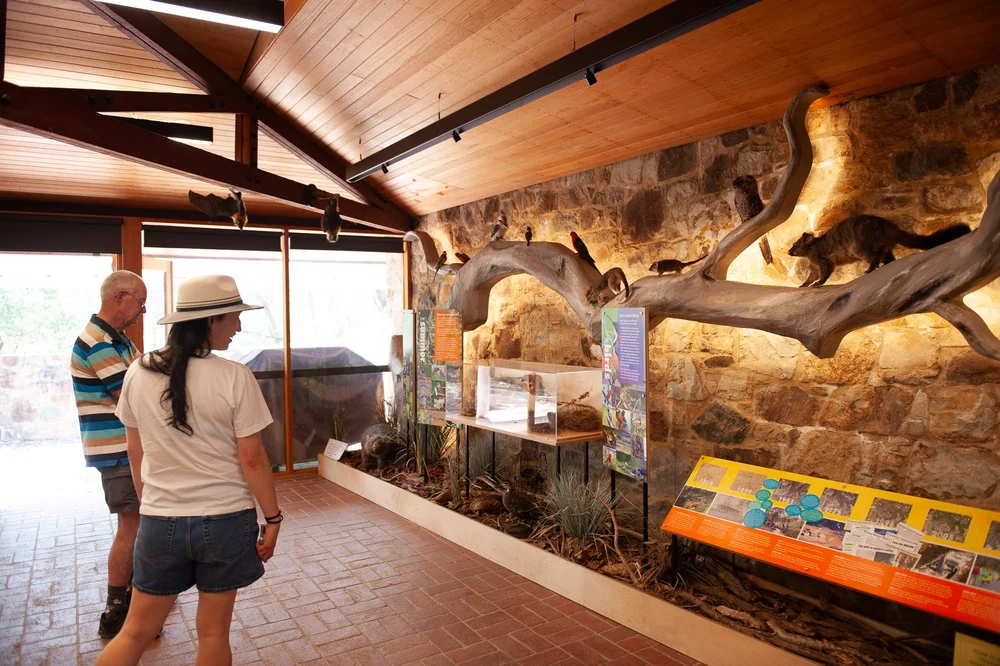 Two visitors looking closely at one of the animal displays inside the information centre.